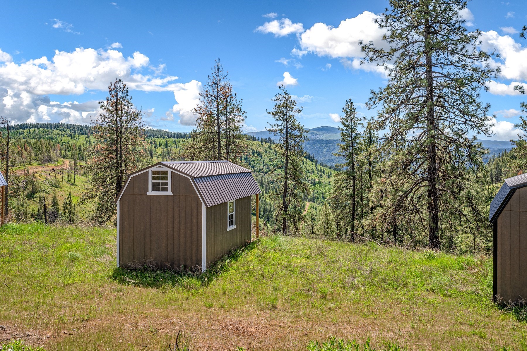  Cabins on 17ac. Surrounded by Lumber Land - 物件實景