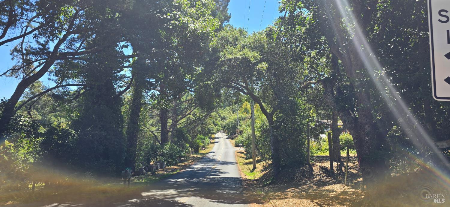 Sebastopol, California, 95472, United States, 3 Bedrooms Bedrooms, ,3 BathroomsBathrooms,Residential,For Sale,1903540