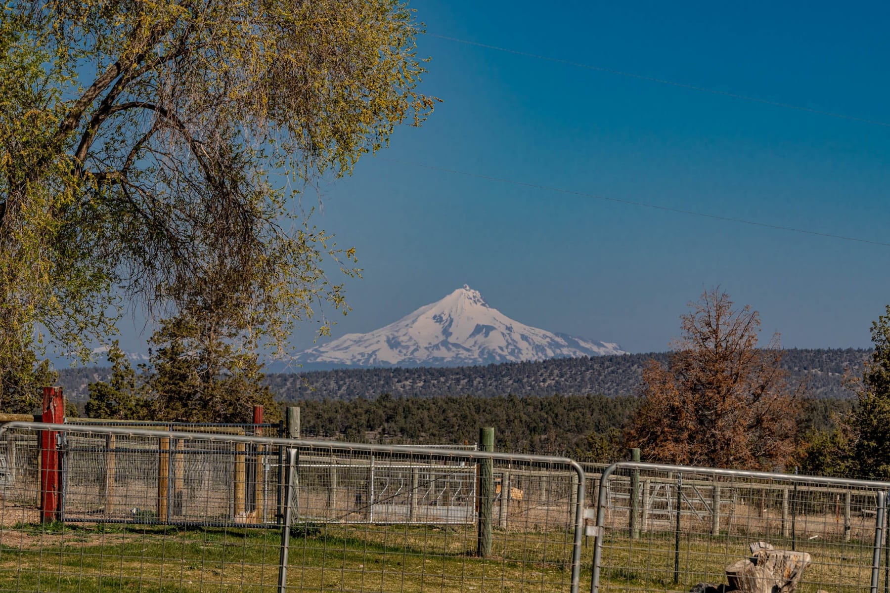  20900 SW Young Avenue Bend, OR 97703 - 物件實景