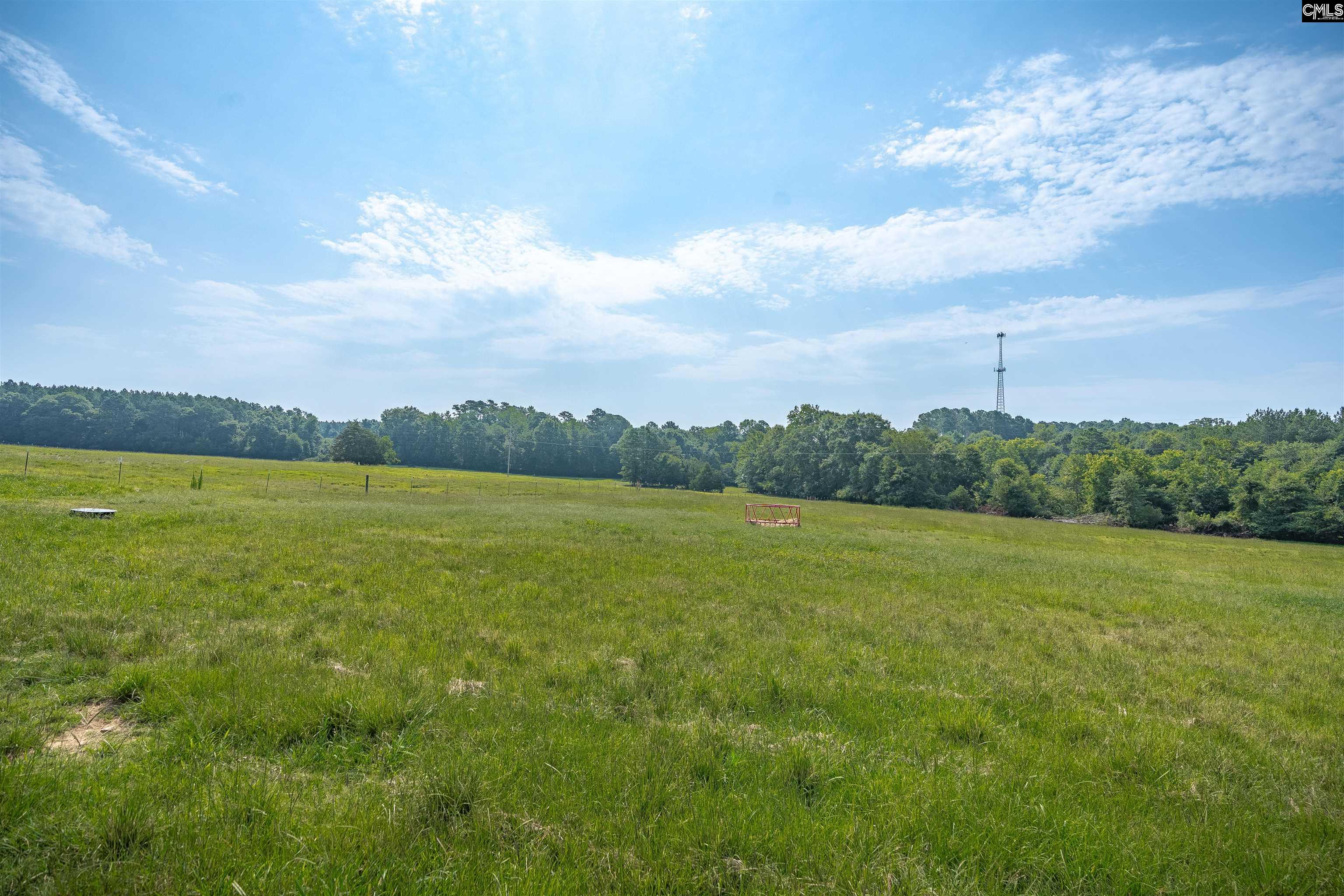 Newberry, South Carolina, 29108, United States, 3 Bedrooms Bedrooms, ,3 BathroomsBathrooms,Residential,For Sale,1987677