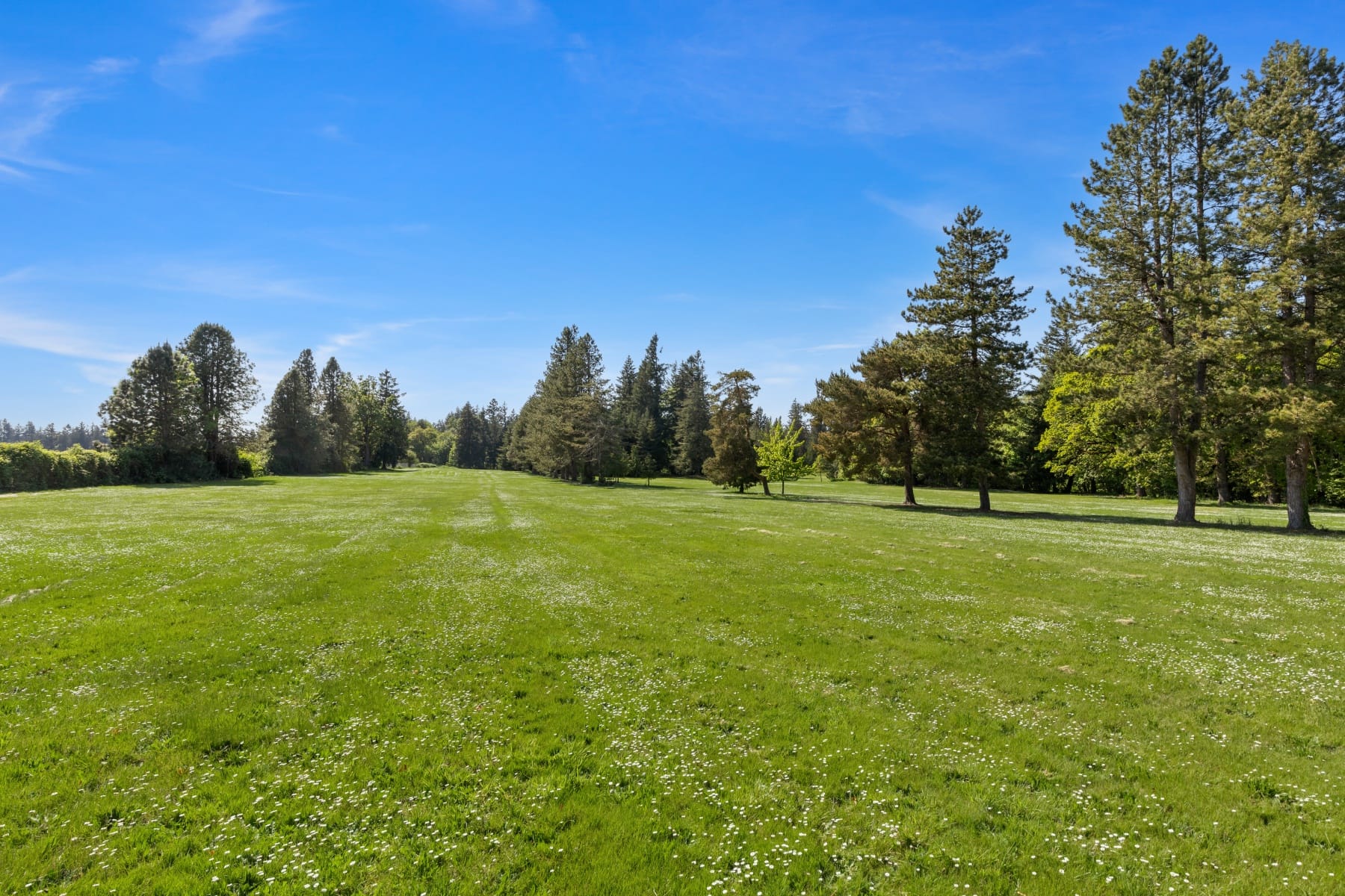  29435 SW MOUNTAIN RD #3 West Linn, OR 97068 - 物件實景
