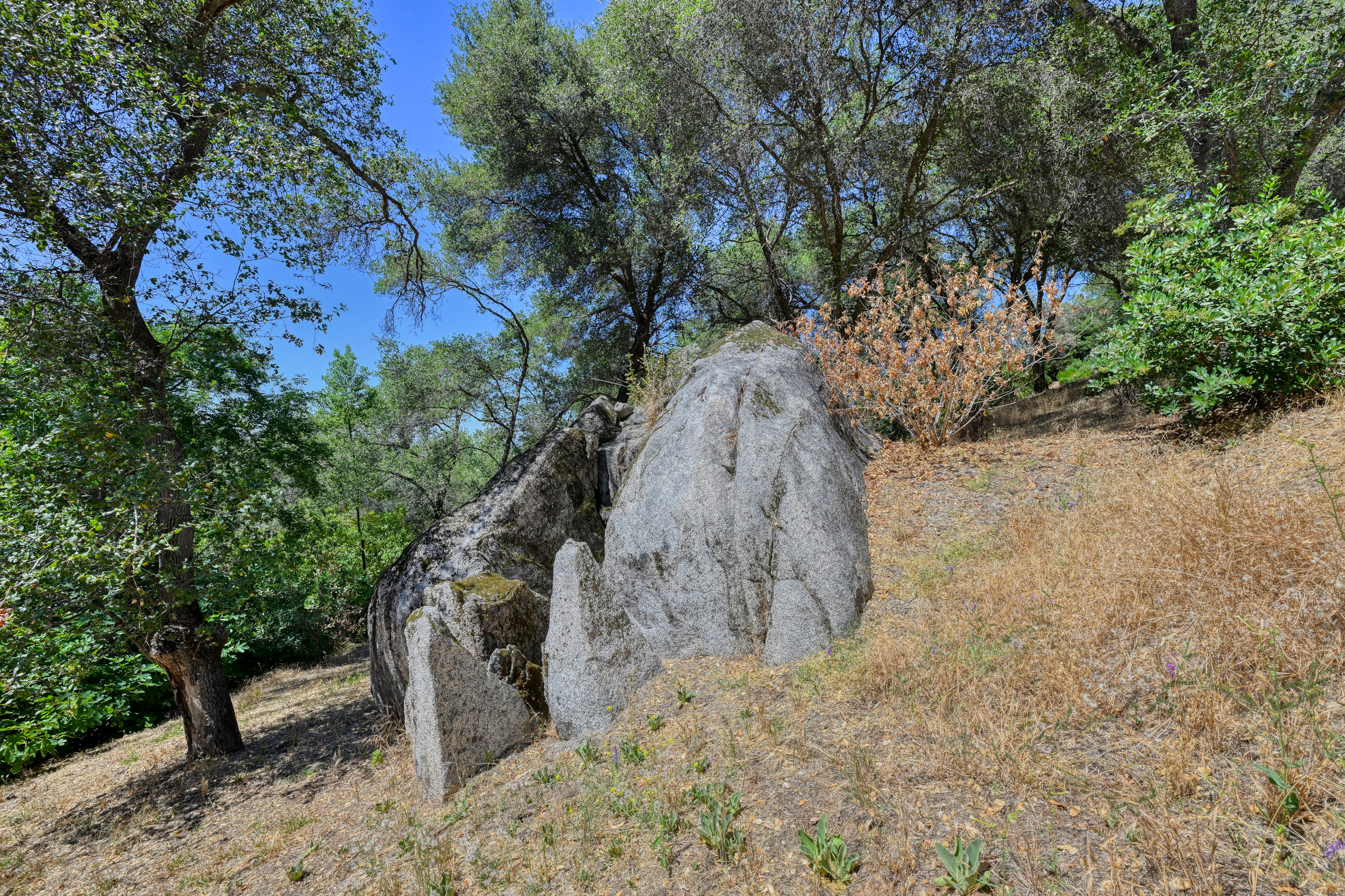  70 Whittington Drive, Newcastle, CA 95658 - 物件實景