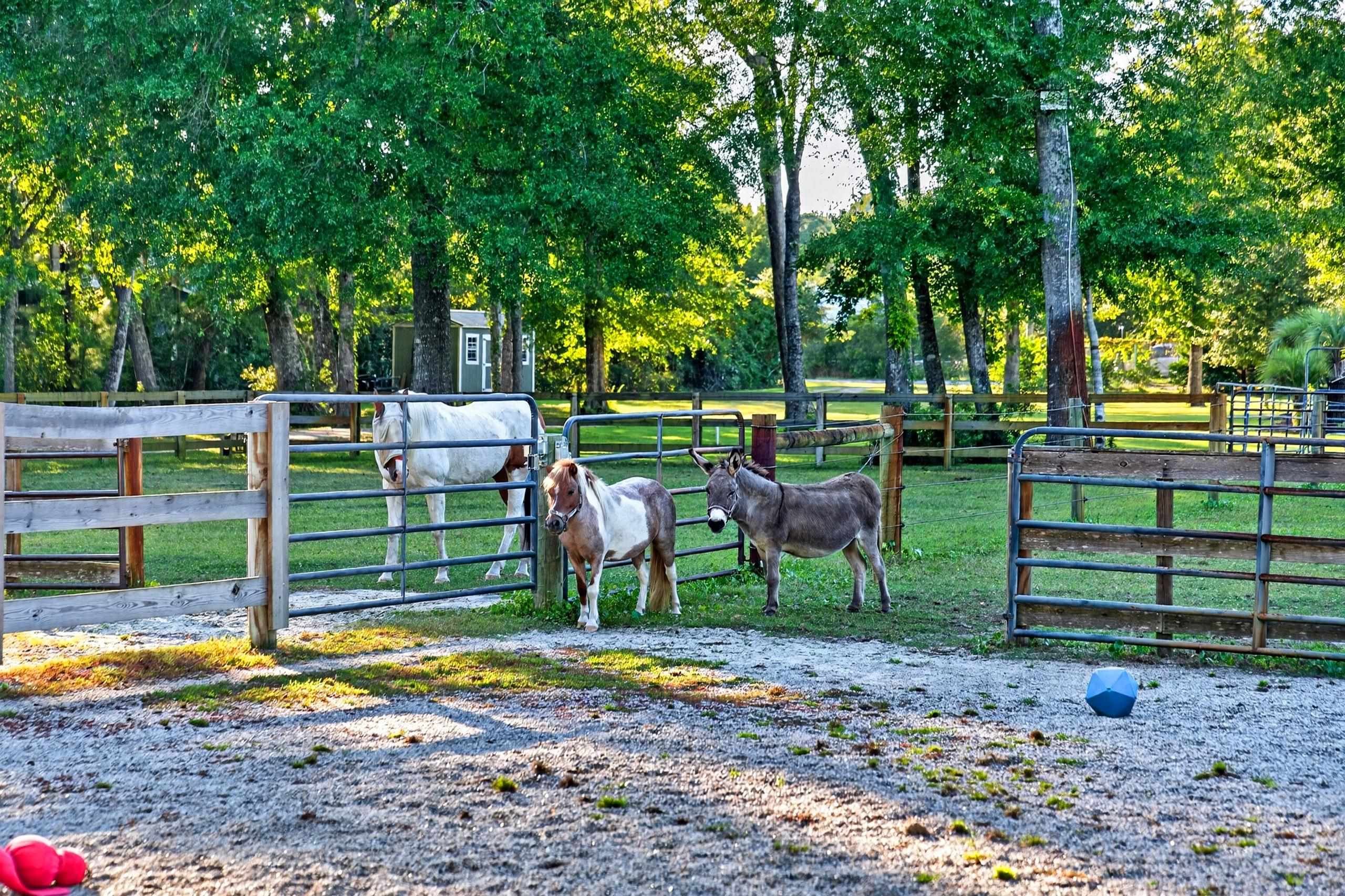  5299 Berkeley Court  Equestrian Property in Murrells Inlet, SC - 物件實景