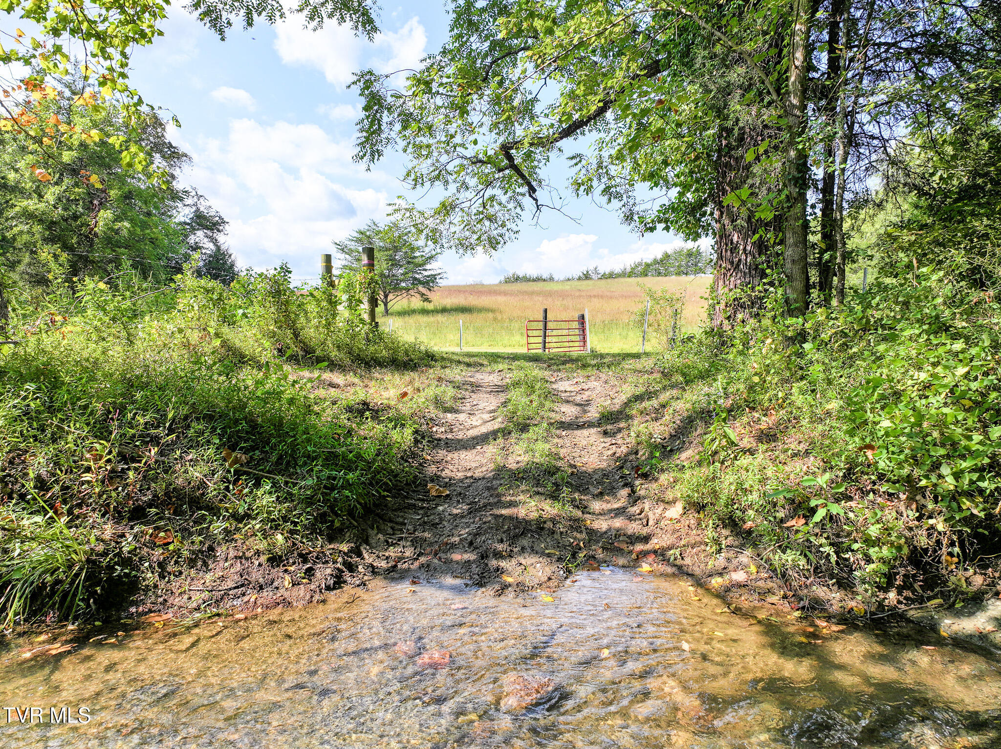 Greeneville, Tennessee, 37745, United States, 3 Bedrooms Bedrooms, ,3 BathroomsBathrooms,Residential,For Sale,2039547