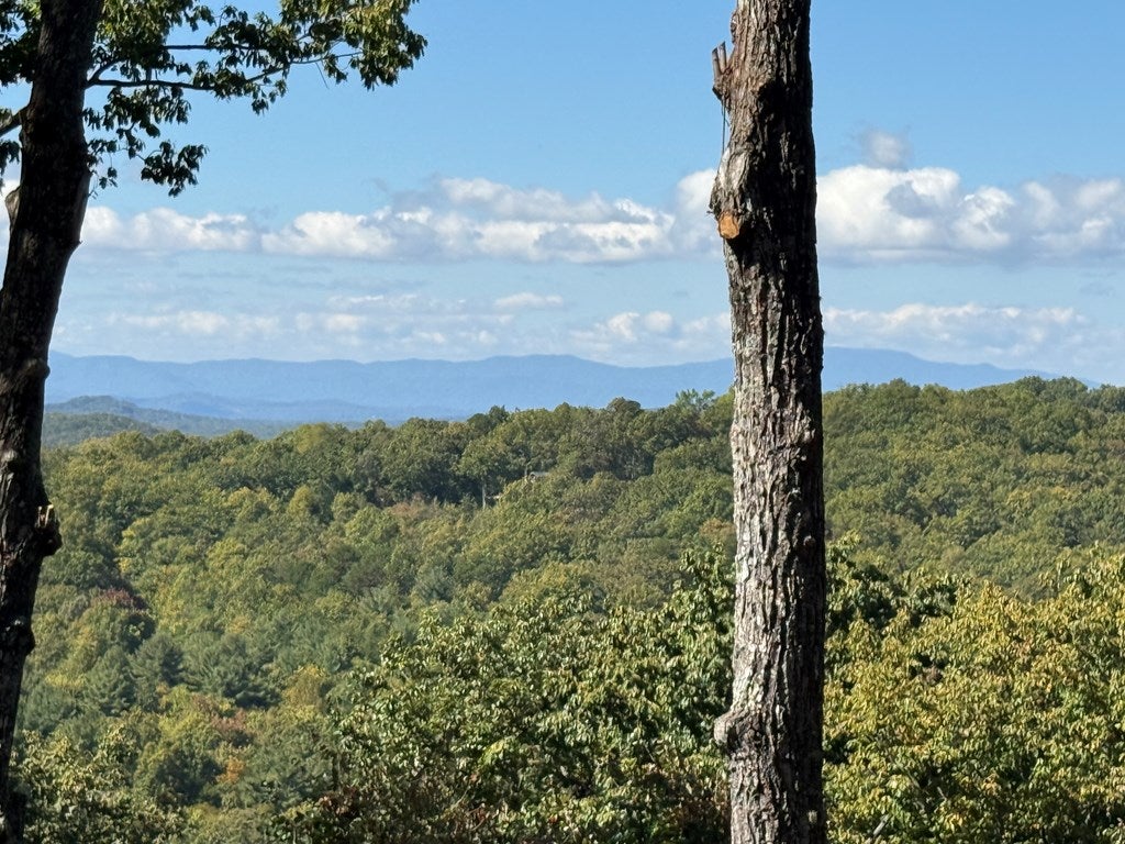 Morganton, Georgia, 30560, United States, 3 Bedrooms Bedrooms, ,3 BathroomsBathrooms,Residential,For Sale,2001916