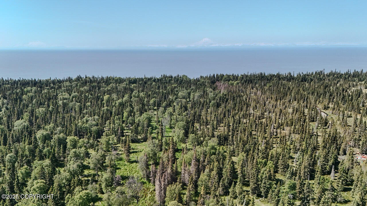Kasilof, Alaska, 99610, United States, ,Land,For Sale,1975582