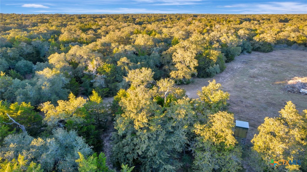 Hallettsville, Texas, 77964, United States, 2 Bedrooms Bedrooms, ,2 BathroomsBathrooms,Residential,For Sale,1989006