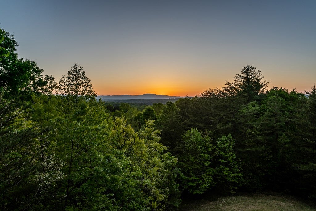 Mineral Bluff, Georgia, 30559, United States, 3 Bedrooms Bedrooms, ,3 BathroomsBathrooms,Residential,For Sale,1986292