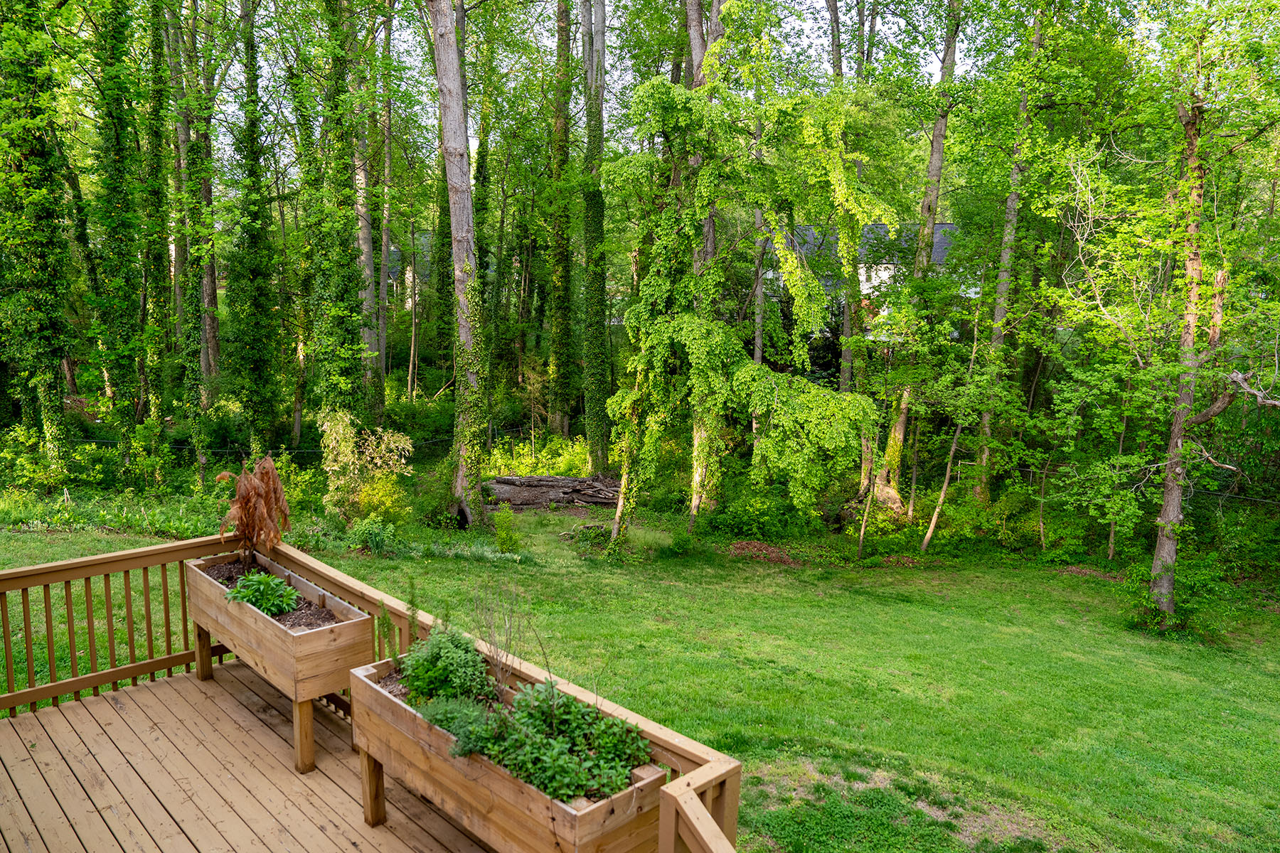  Statesville - 物件實景