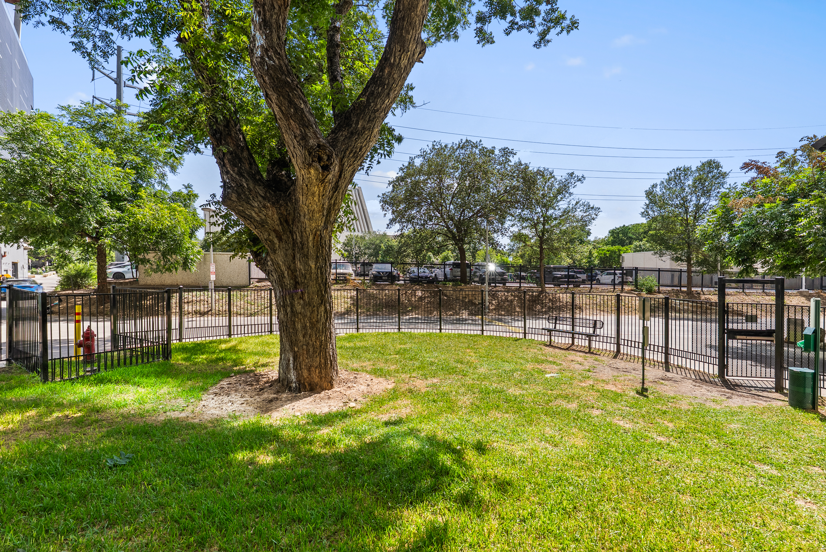  Rare Downtown Austin Maisonette - 物件實景