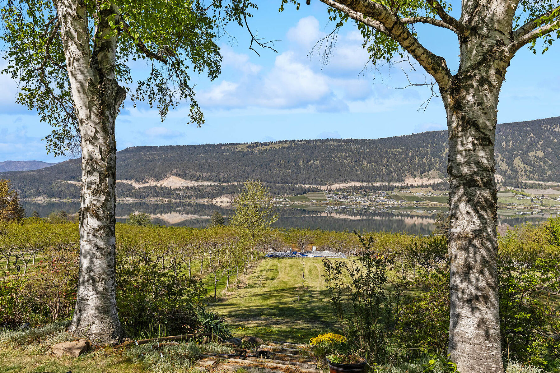  2.63 Acres in Oyama - 物件實景