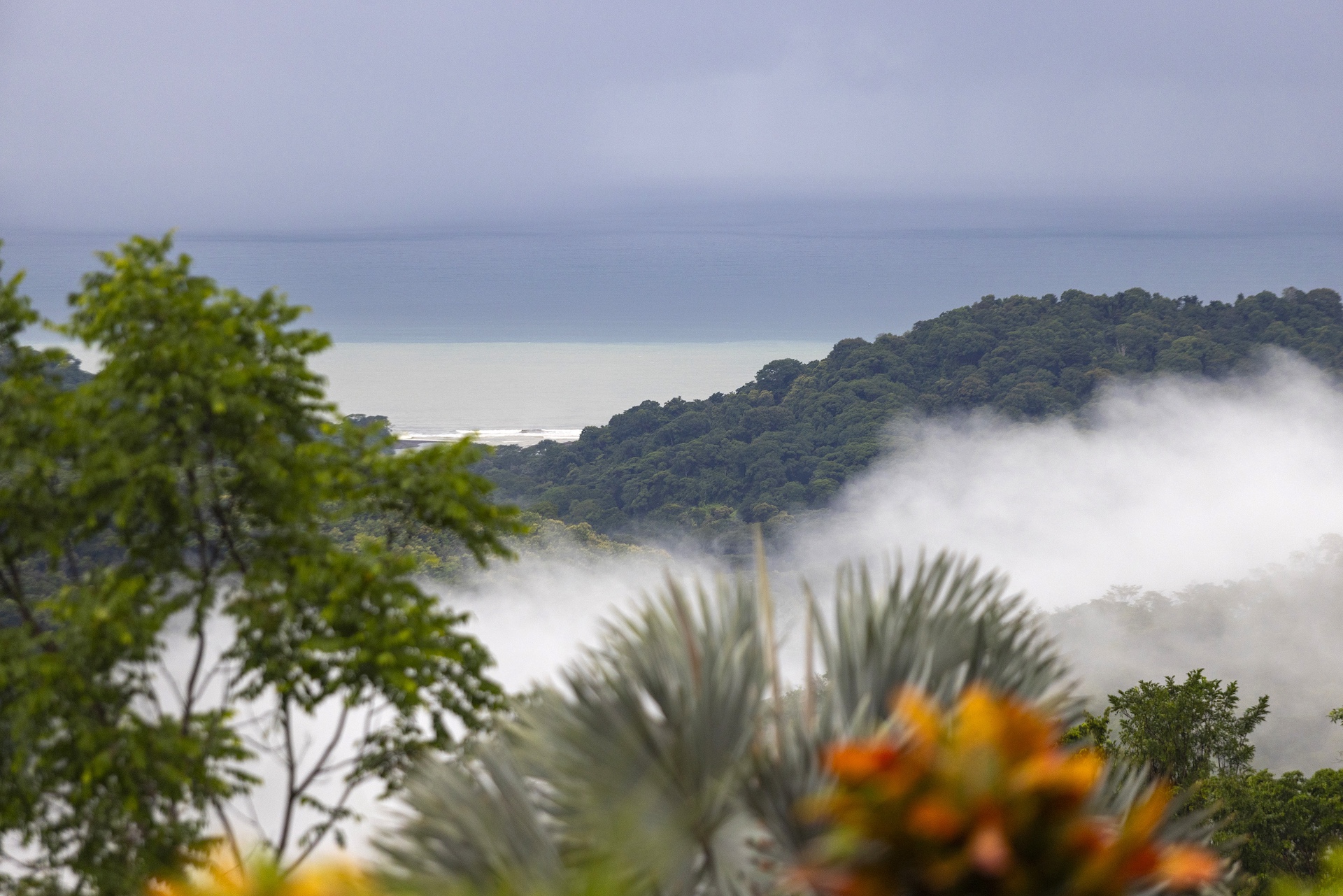 Dominical, Puntarenas, CR, 2 Bedrooms Bedrooms, ,2 BathroomsBathrooms,Residential,For Sale,1671731