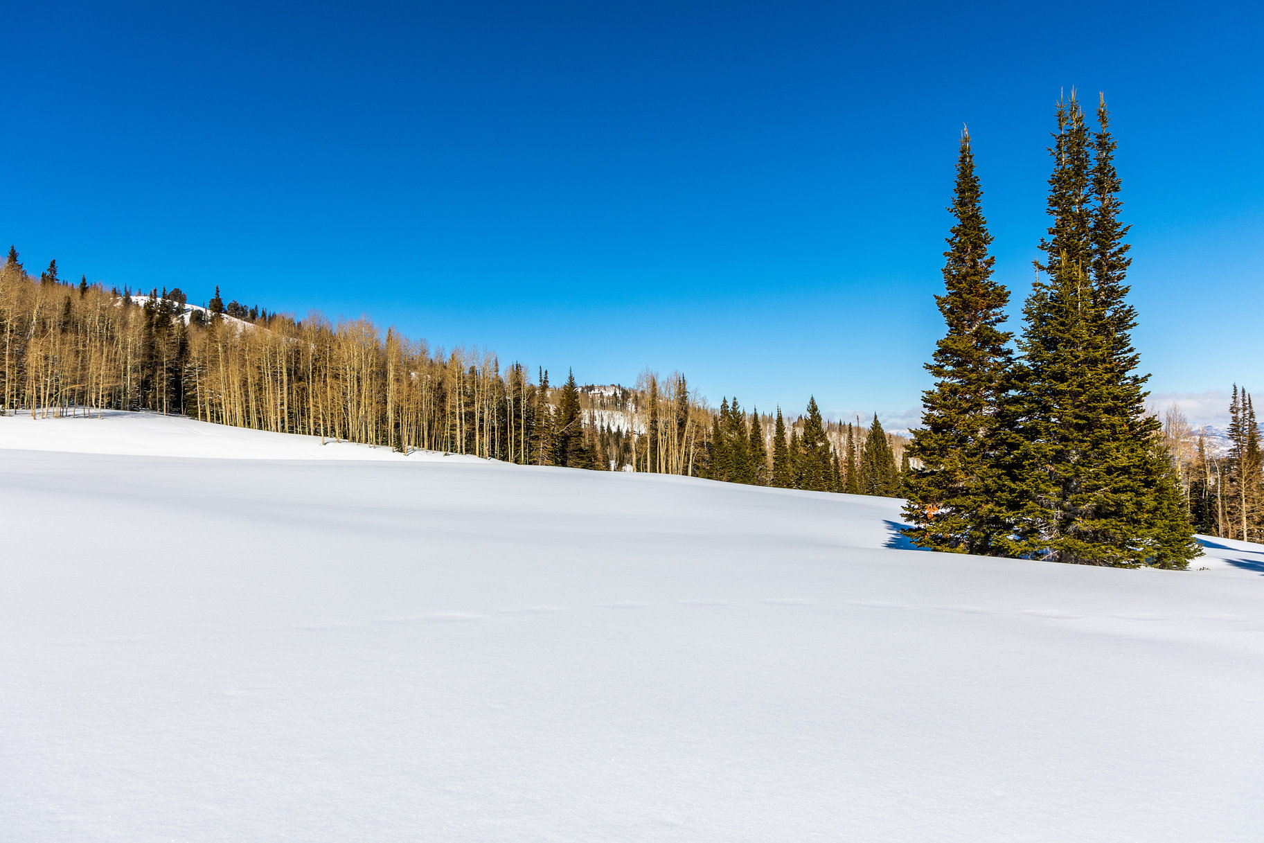  Incredible 28 Acre Estate Lot in the Colony at White Pine Canyon - 物件實景