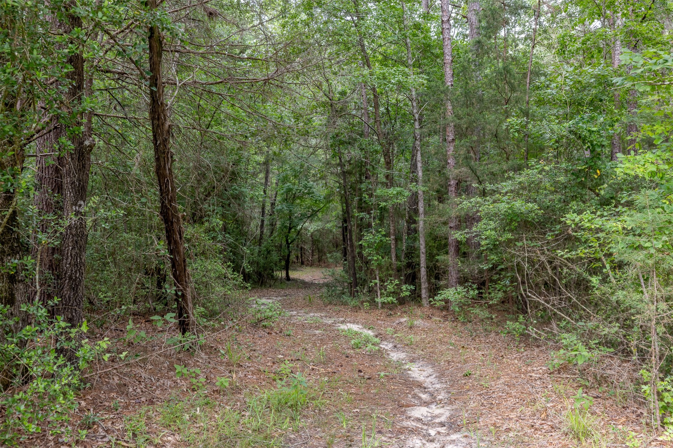  17042 State Highway 21 E - 物件實景