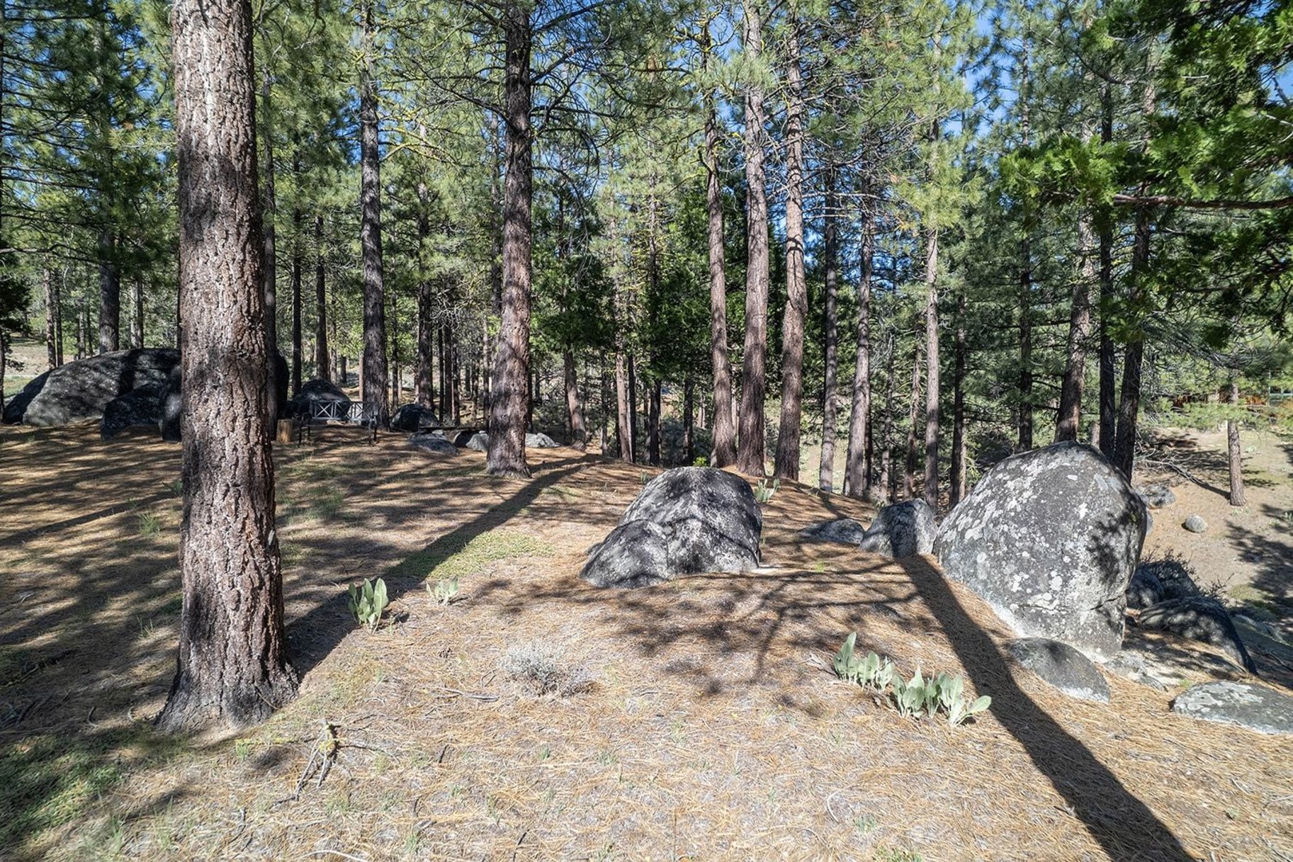  2.69 Private Acres in Nakoma with Stunning Eureka Peak Views - 物件實景