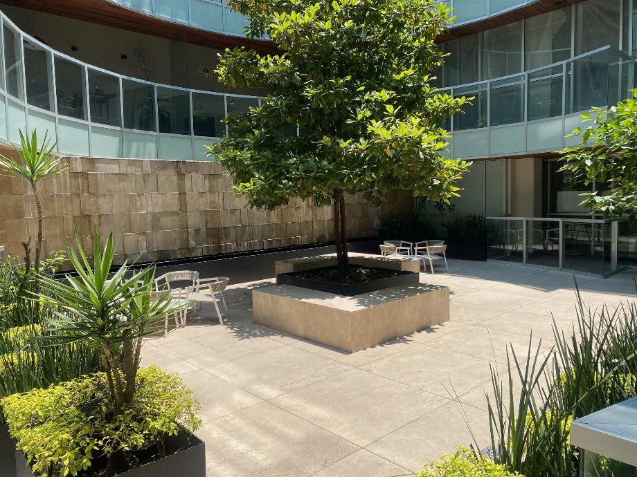Miguel Hidalgo, Ciudad de México, 11540, Mexico, 3 Bedrooms Bedrooms, ,3 BathroomsBathrooms,Residential,For Sale,1848633