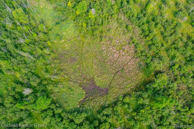 000 Willis Road, Burnside Twp, Michigan, 48416, United States, ,Land,For Sale,000 Willis Road,1288275