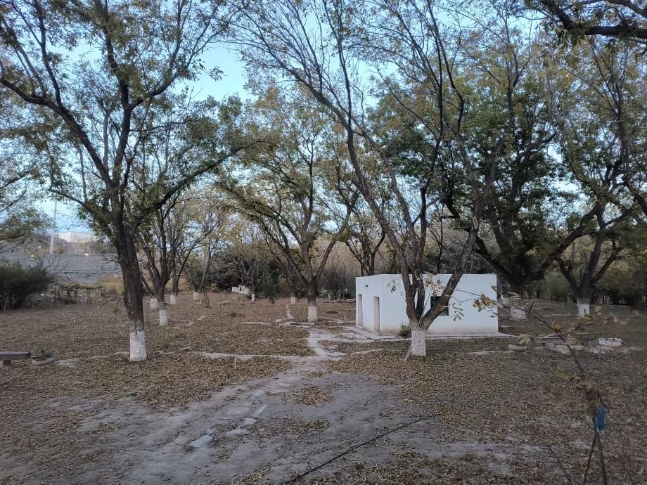 Parras, Coahuila de Zaragoza, 27980, Mexico, 4 Bedrooms Bedrooms, ,6 BathroomsBathrooms,Residential,For Sale,1695976