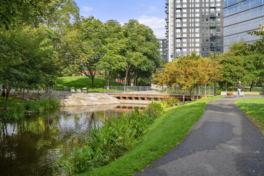 Cambridge, Massachusetts, 02141, United States, 1 Bedroom Bedrooms, ,1 BathroomBathrooms,Residential,For Sale,1970910