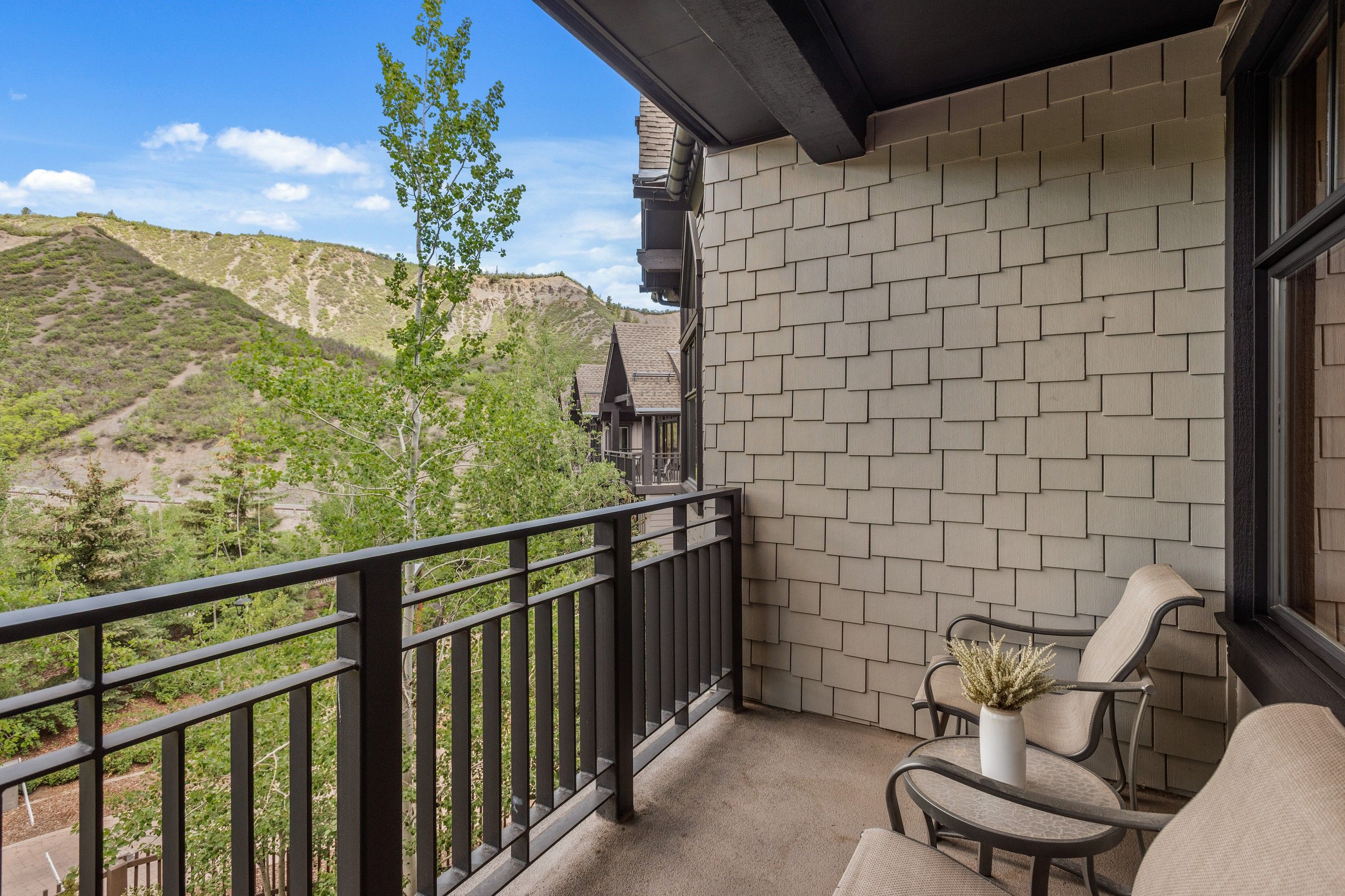 90 Carriage Way, Snowmass Village, CO, 81615 - 物件實景