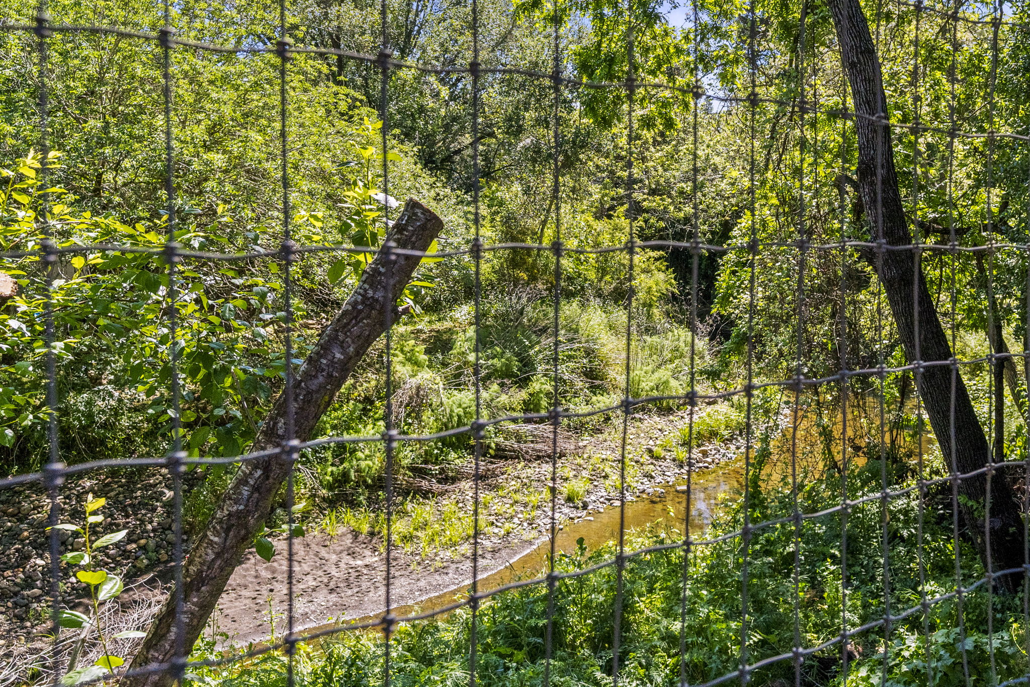  2608 West Pueblo Avenue Napa - 物件實景