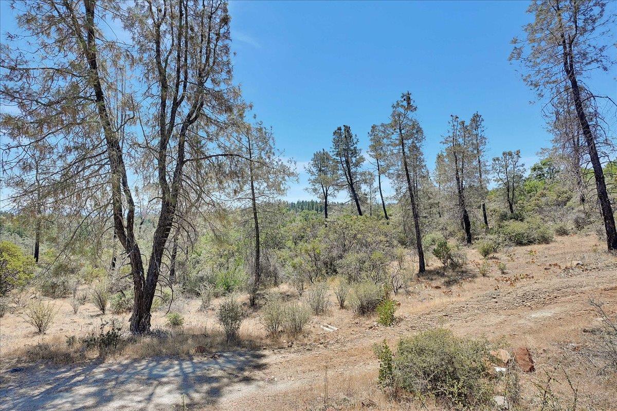 Oregon House, California, 95962, United States, ,Land,For Sale,1975767