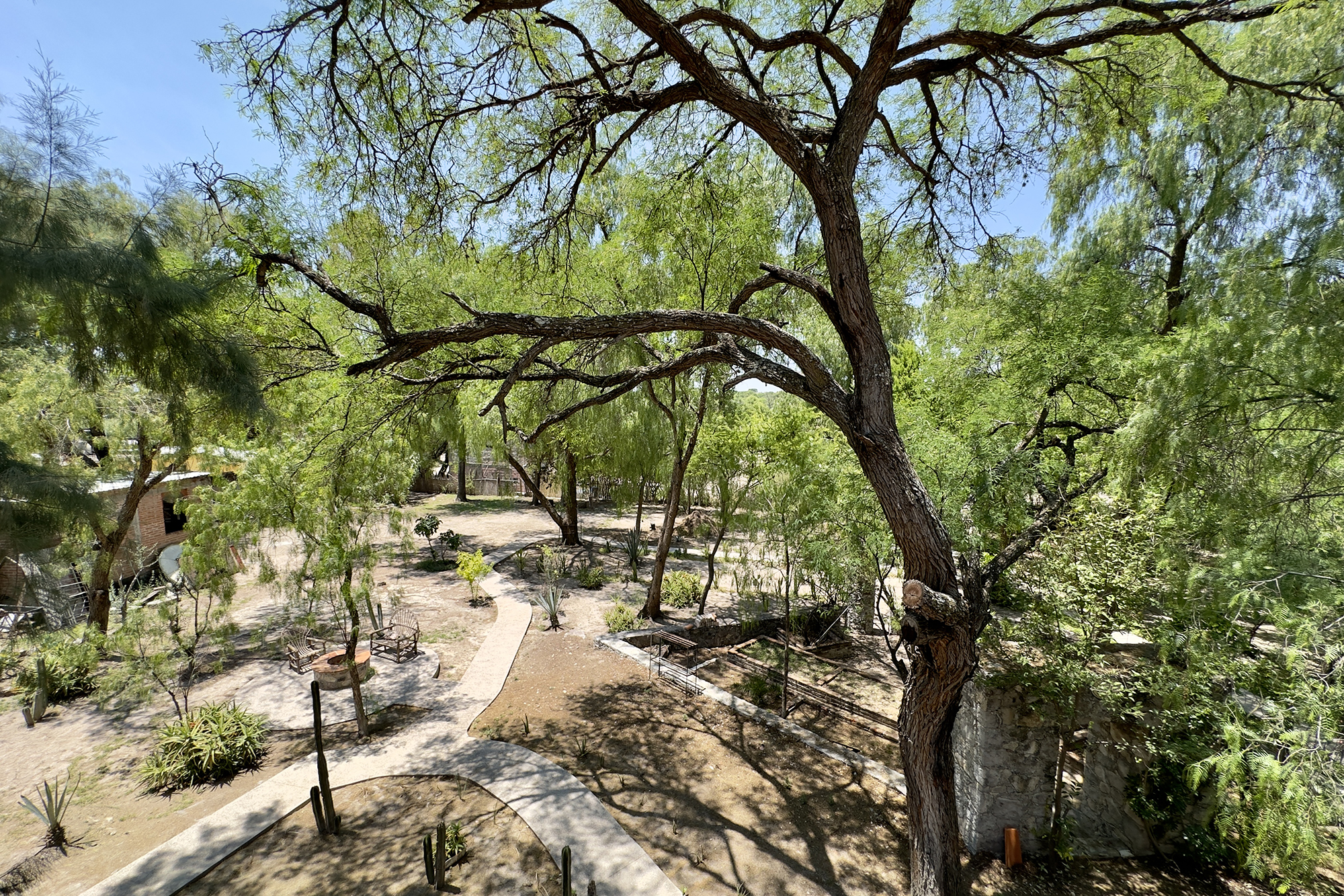  Casa Ciene - 物件實景