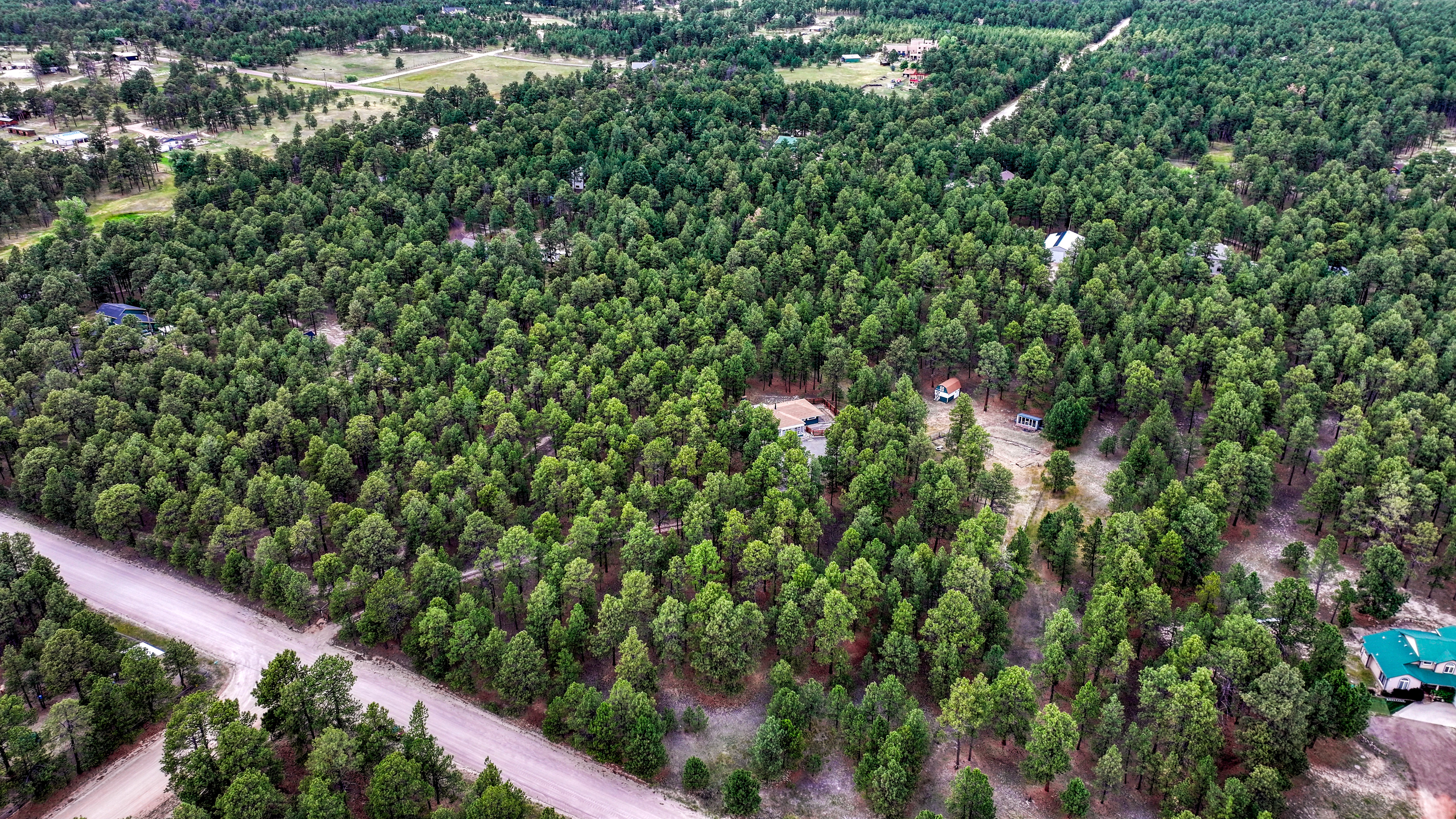  Meticulously maintained ranch-style home in sought-after Black Forest - 物件實景
