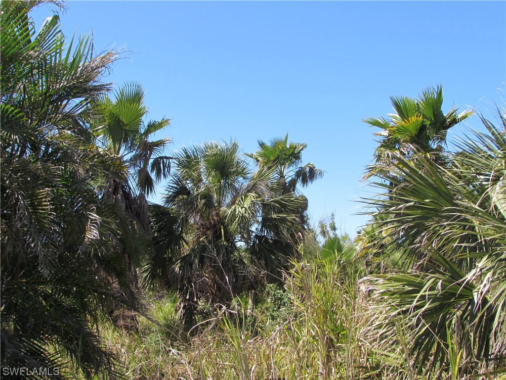 Bokeelia, Florida, 33922, United States, ,Residential,For Sale,1944902