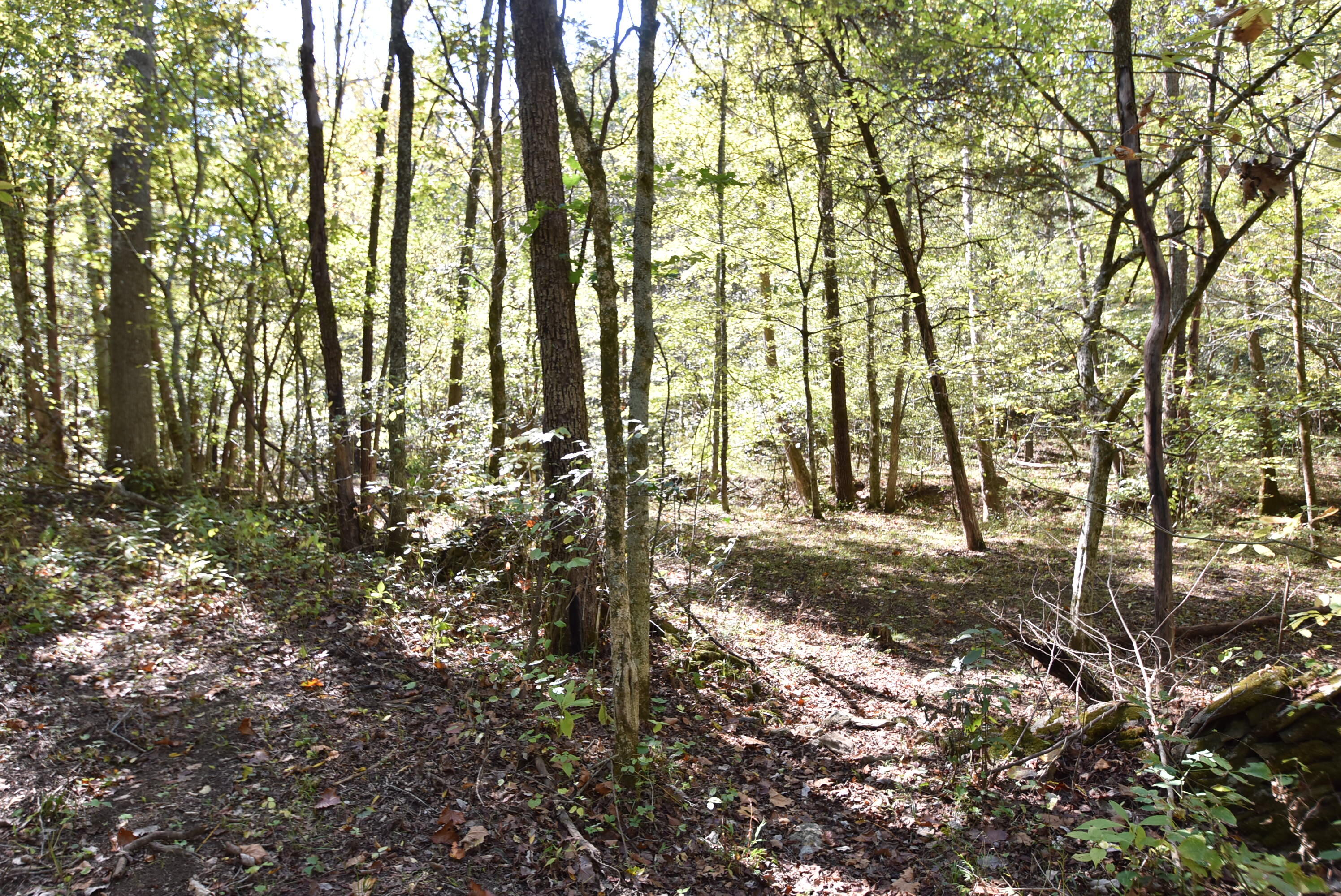 Willisburg, Kentucky, 40078, United States, 4 Bedrooms Bedrooms, ,1 BathroomBathrooms,Residential,For Sale,1962831