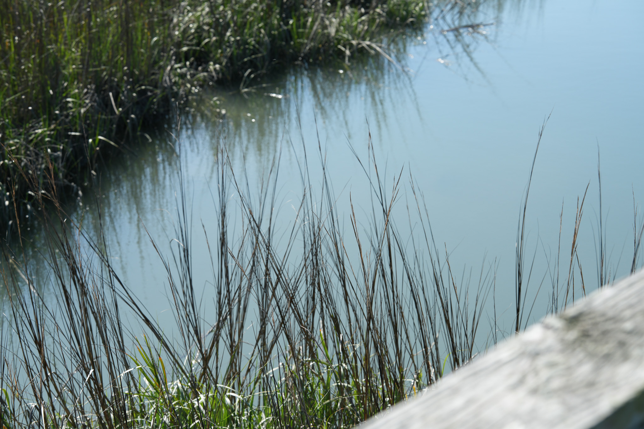  1024 W Ashley Avenue - 物件實景