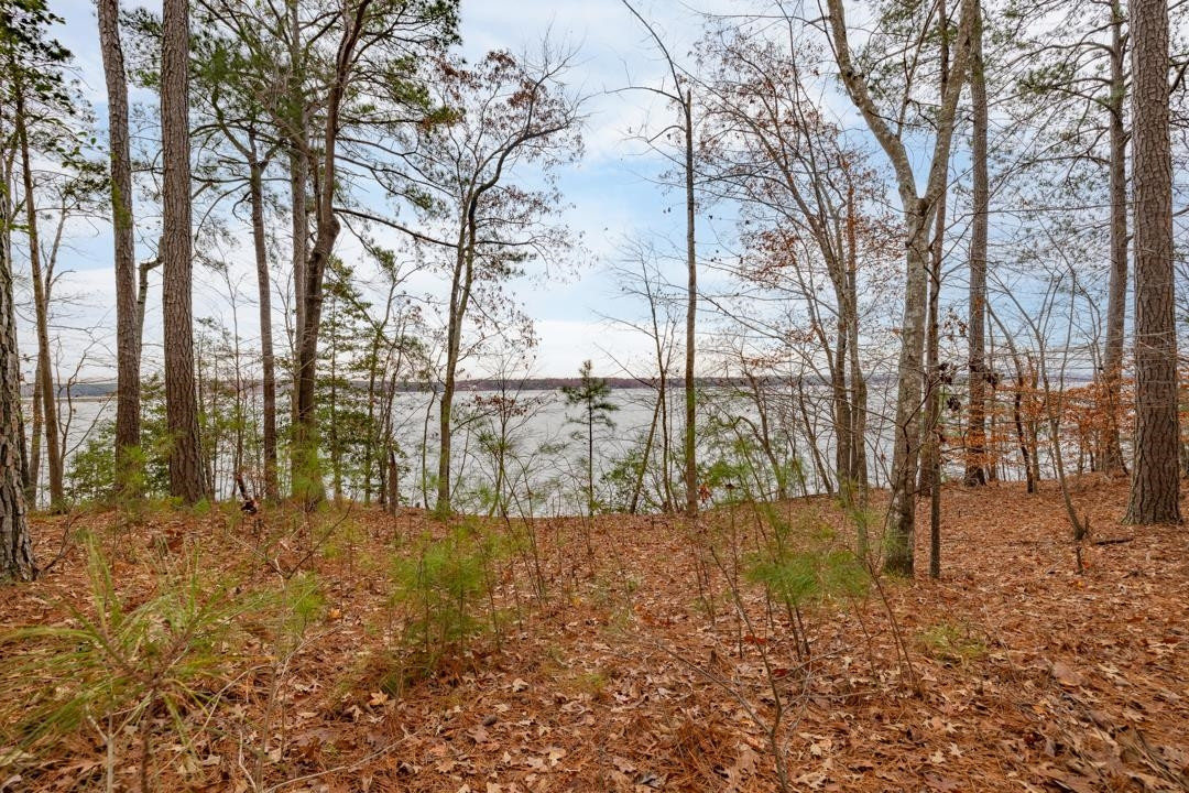 Lot 8 Serenity Point, Littleton, North Carolina, 28750, United States, ,Land,For Sale,Lot 8 Serenity Point,1659494