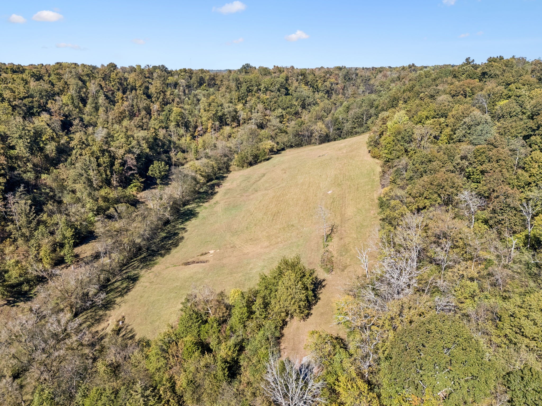  2846 Fuller Hollow Rd, Cornersville, TN, 37047 - 物件實景
