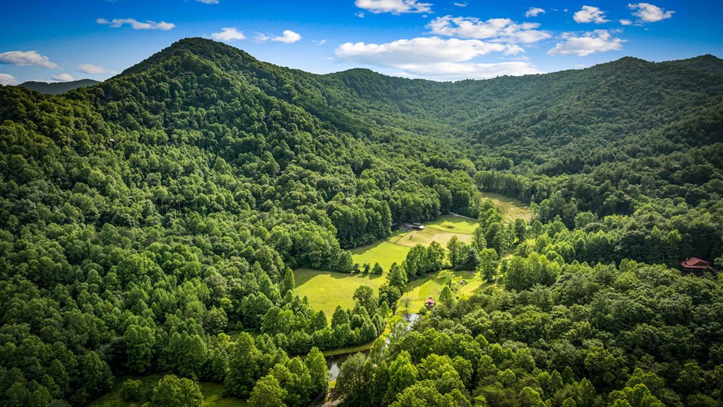 Blue Ridge, Georgia, 30513, United States, 3 Bedrooms Bedrooms, ,3 BathroomsBathrooms,Residential,For Sale,1974409