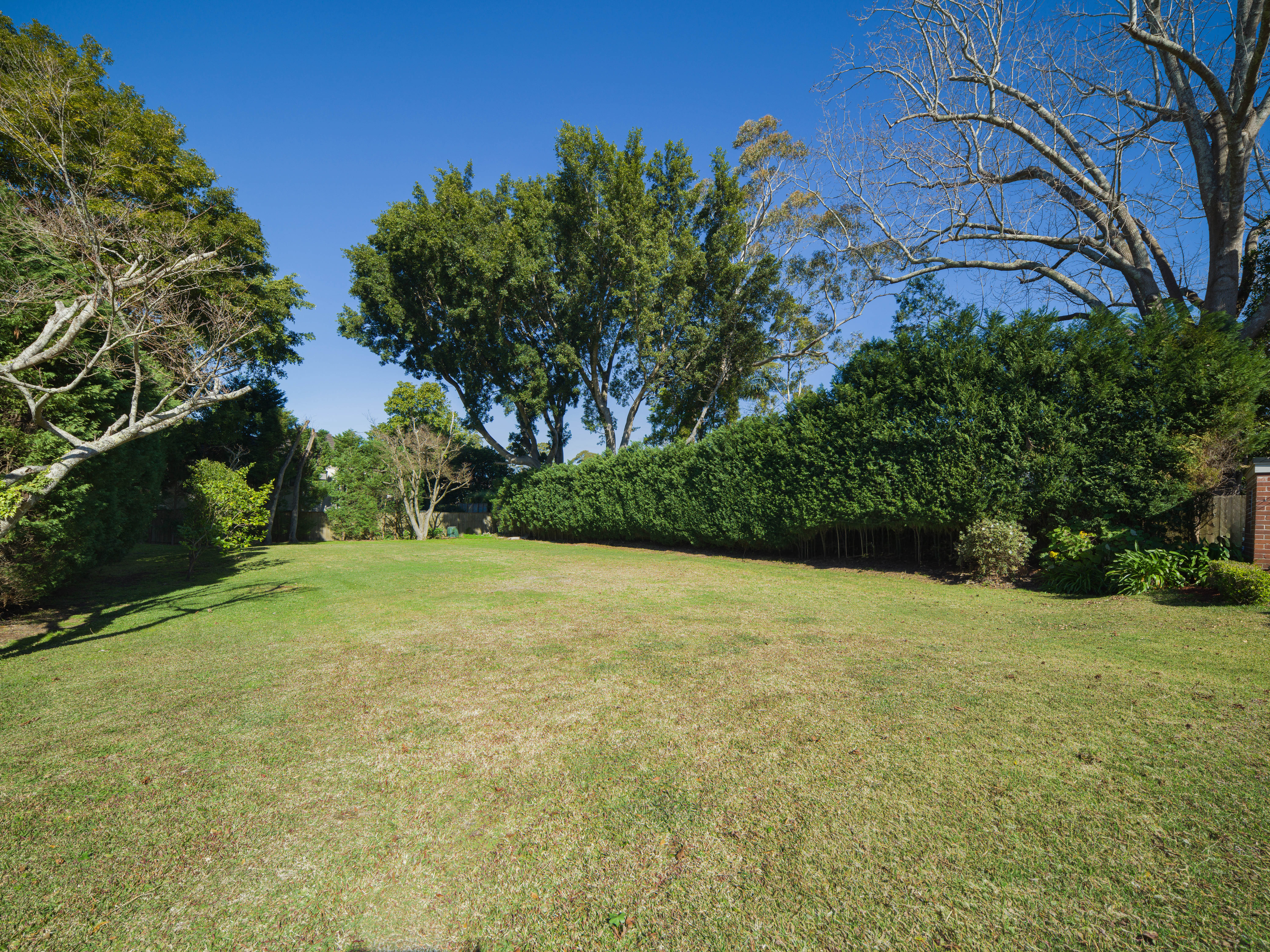  49 Carrington Road, Wahroonga - 物件實景