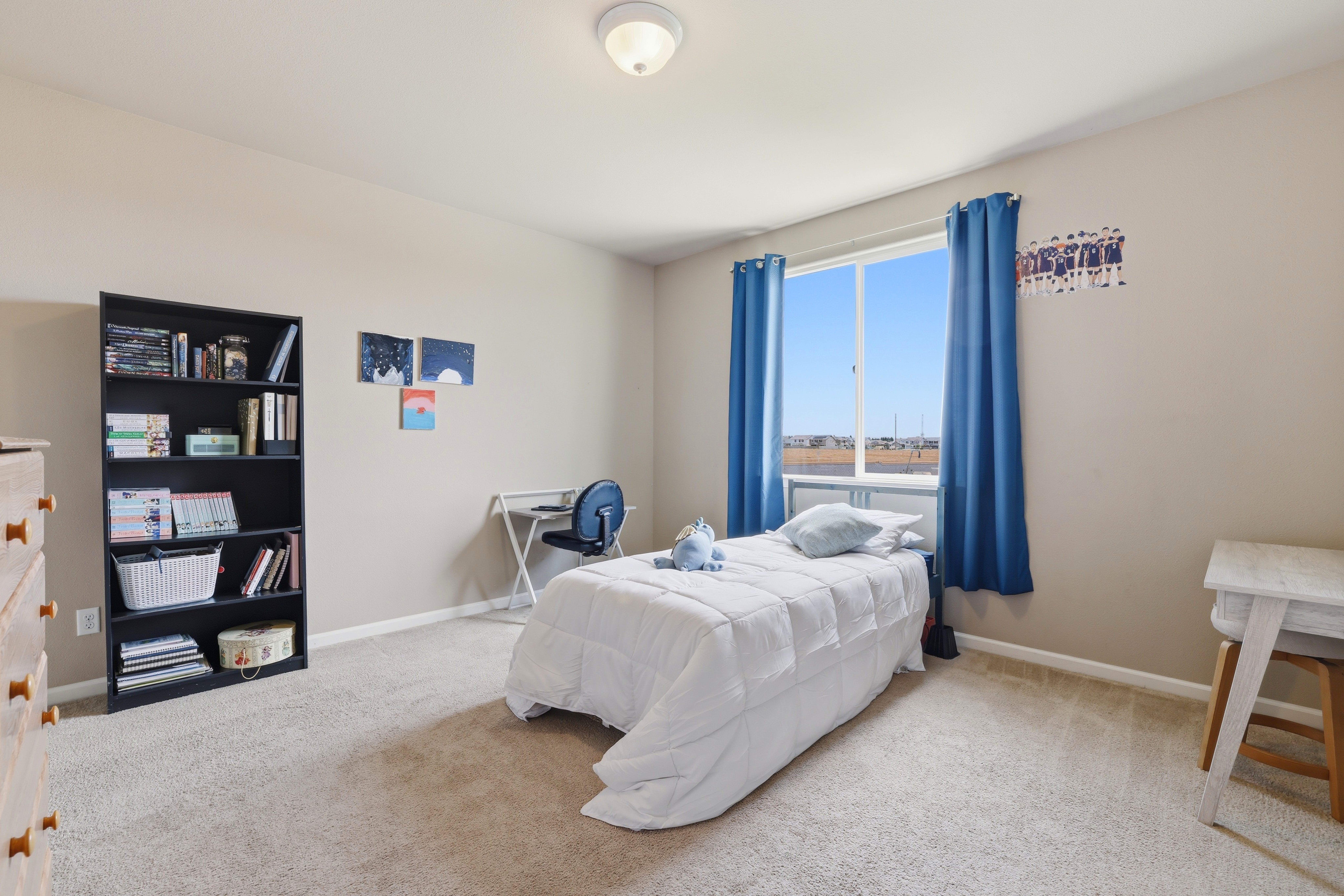  100 Horton Court, Roseville, CA 95747 - 物件實景