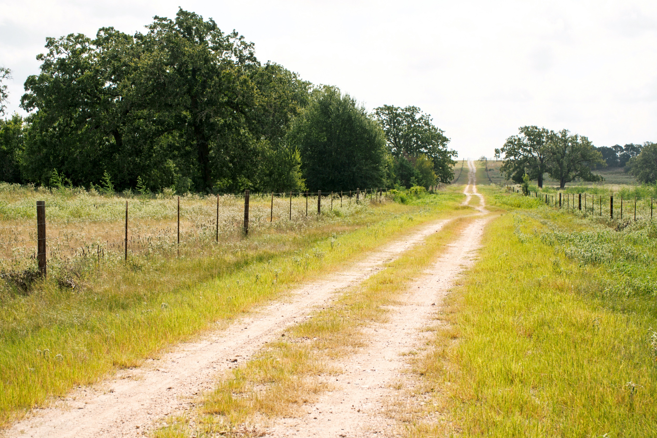  Bar Nothing Ranch, Fayette County - 物件實景