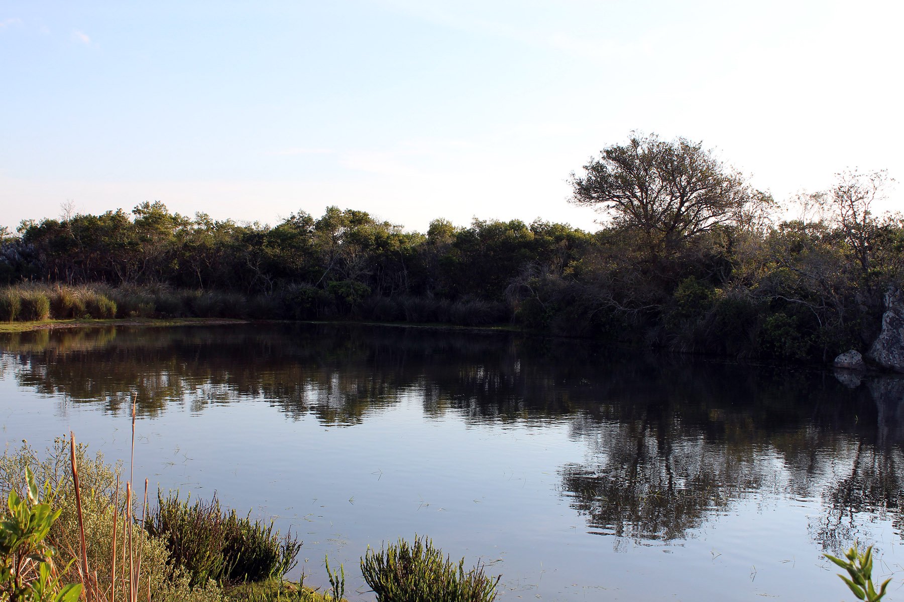  2577 acres Grand Hunting Estate - 物件實景