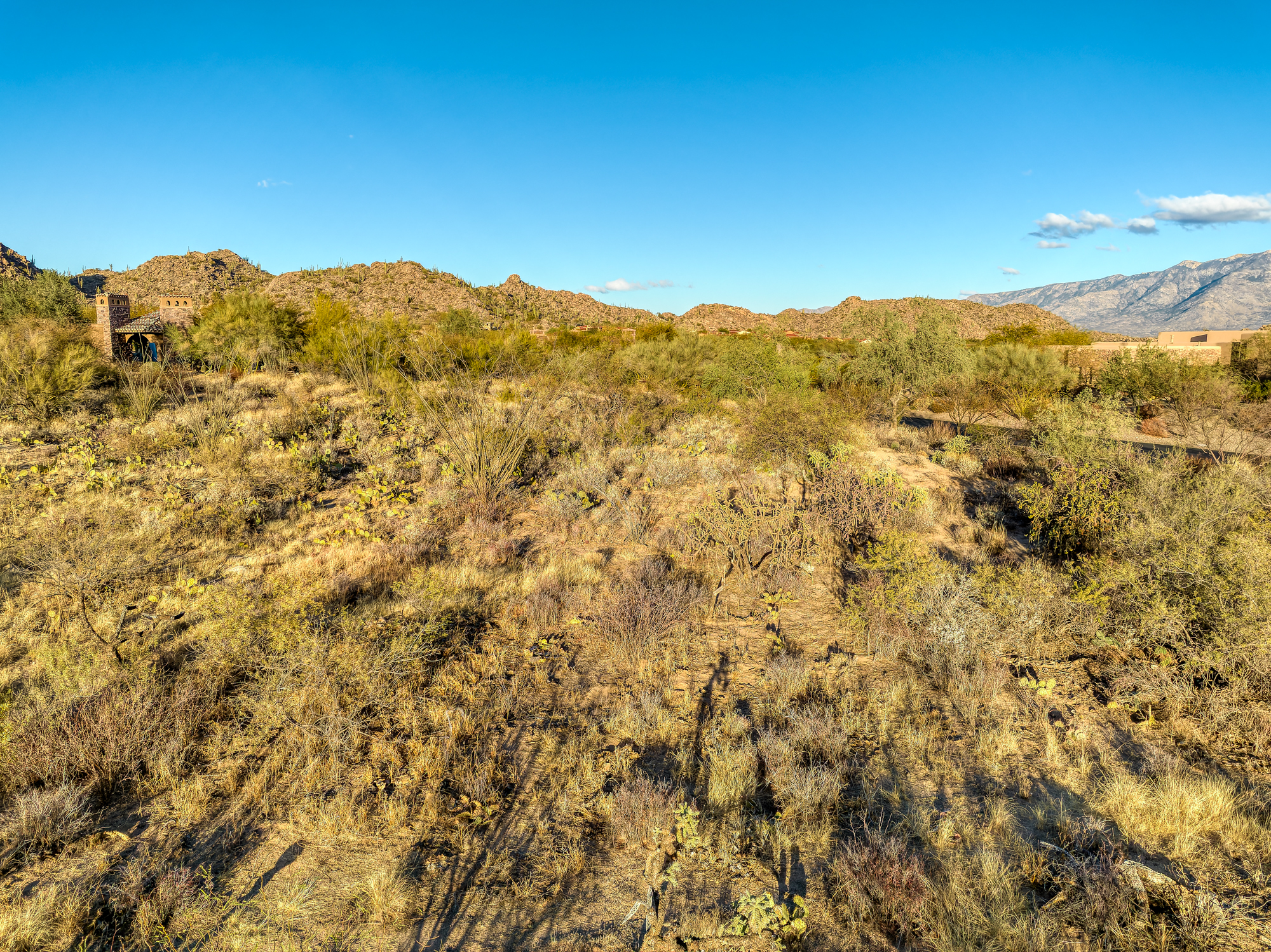  14191 N Giant Saguaro Place¦Oro Valley, AZ - 物件實景