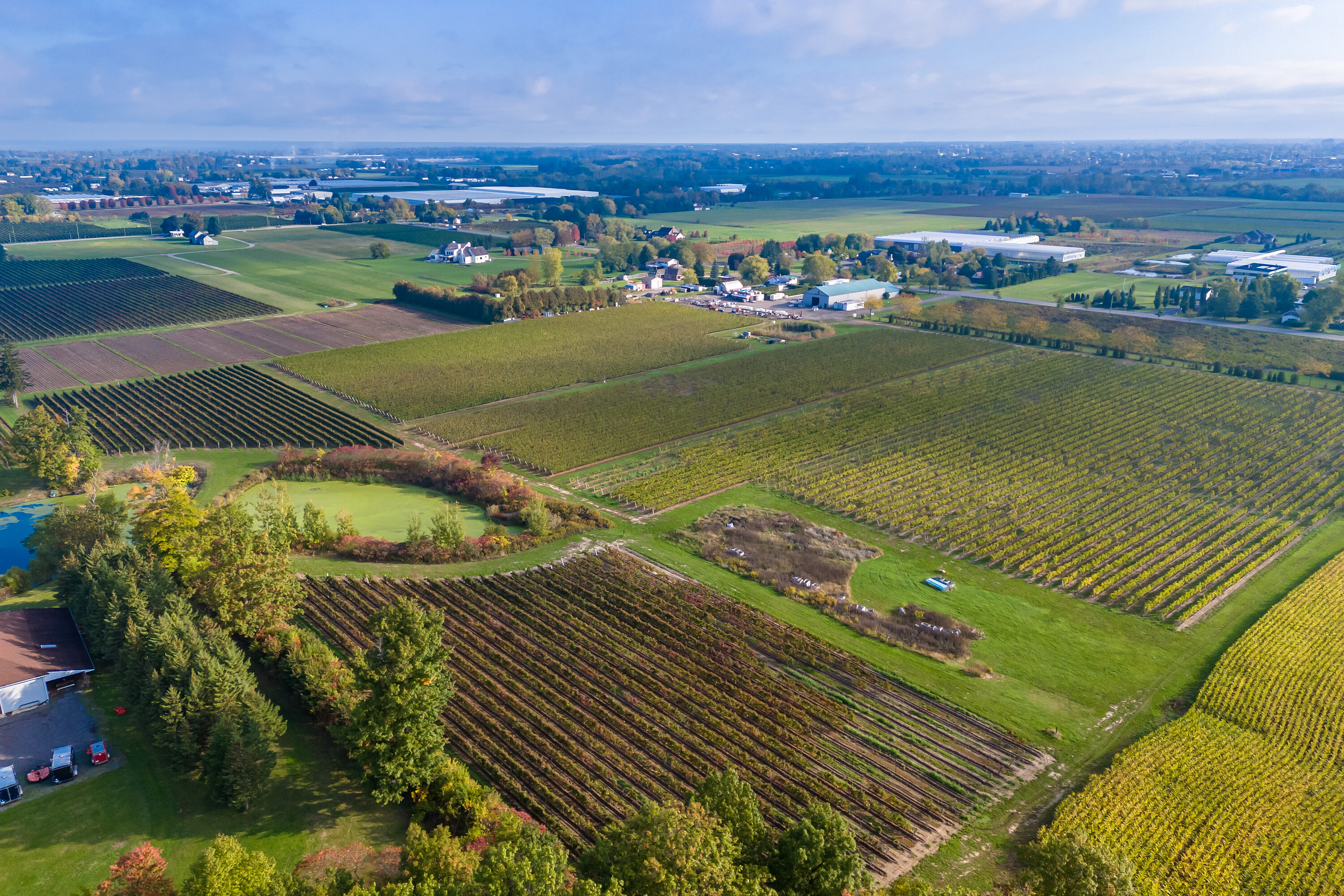  Fully Established Vineyard - 物件實景