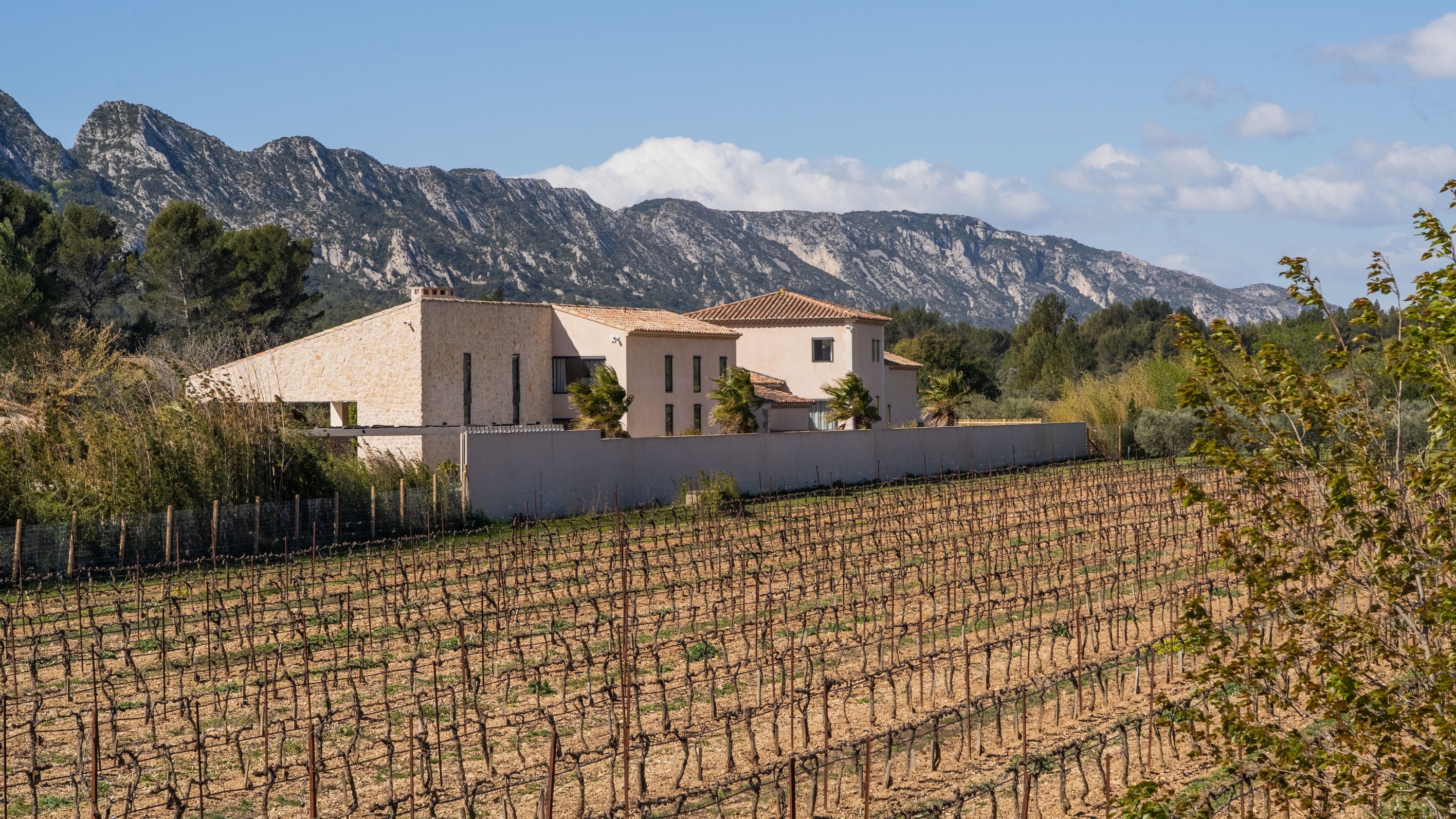  Exceptional estate in Eygalières, olive grove and views of the Parc naturel rég… - 物件實景