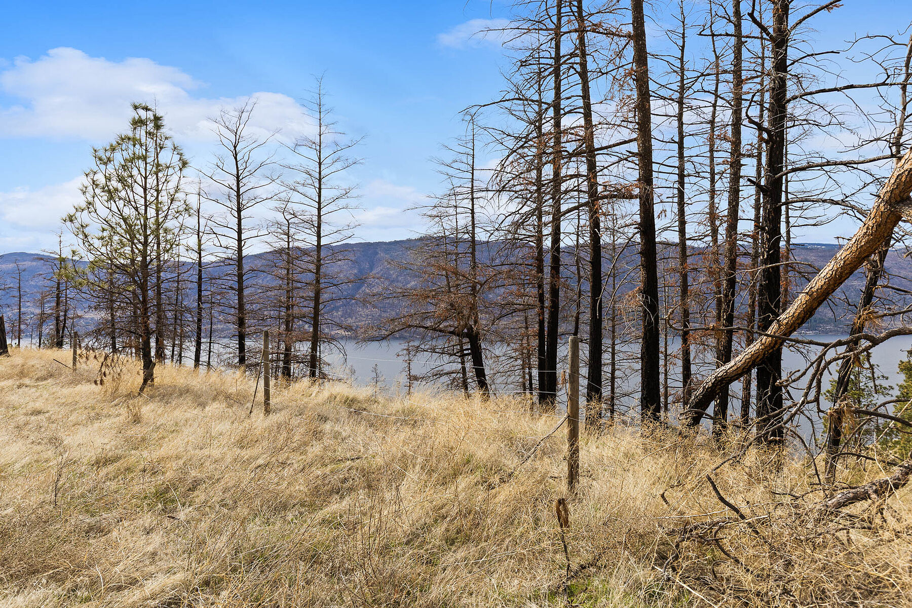  Lot 26 at Tyndall Bench - 物件實景