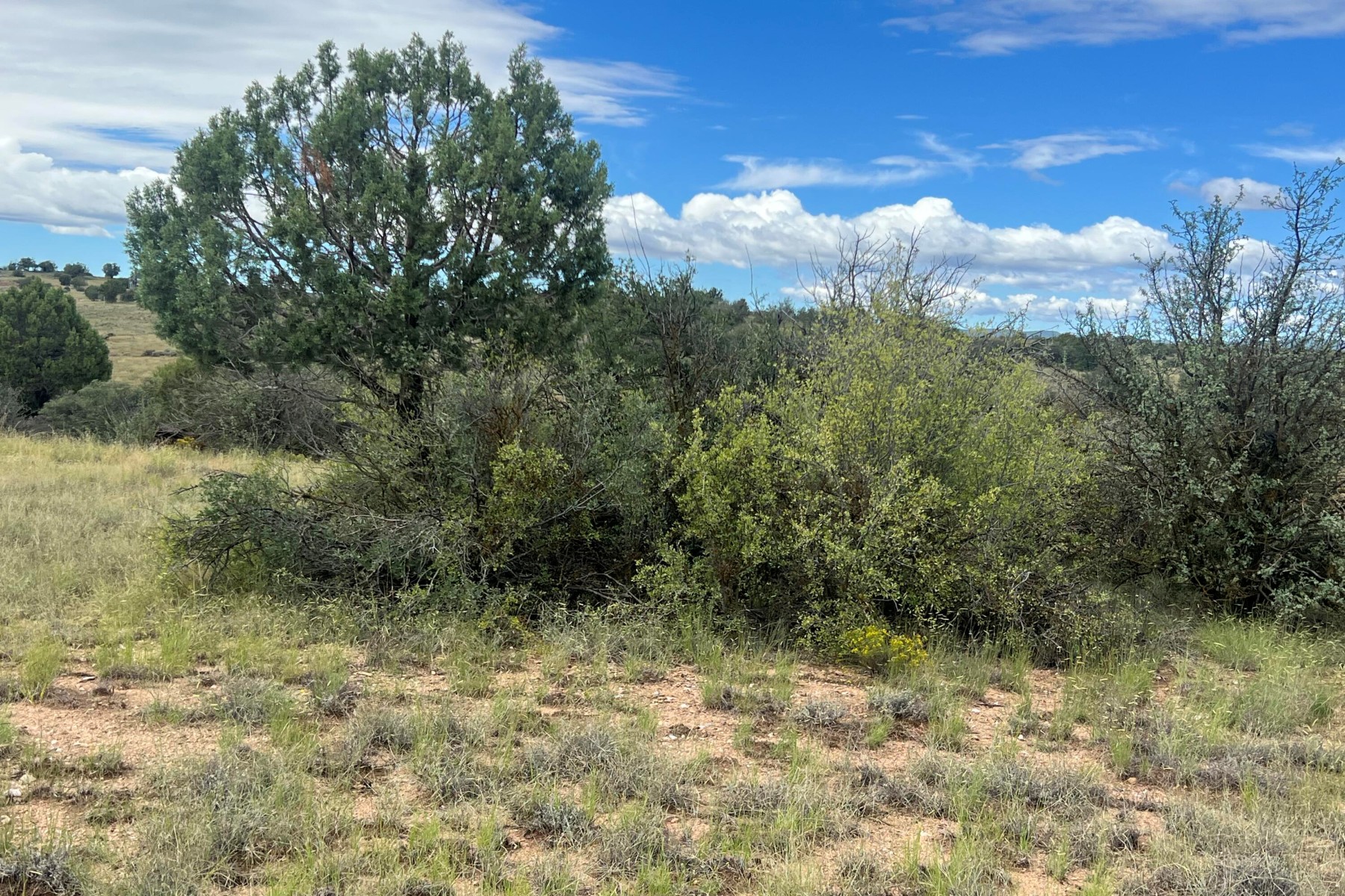  14565 N Puntenney Road¦Prescott, AZ - 物件實景