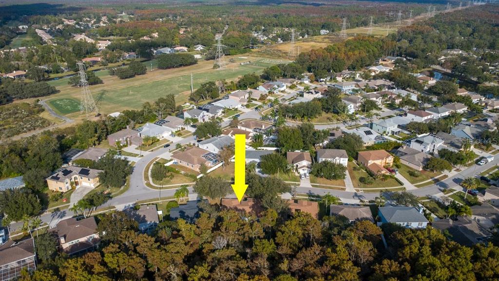 Oldsmar, Florida, 34677, United States, 4 Bedrooms Bedrooms, ,3 BathroomsBathrooms,Residential,For Sale,1998851