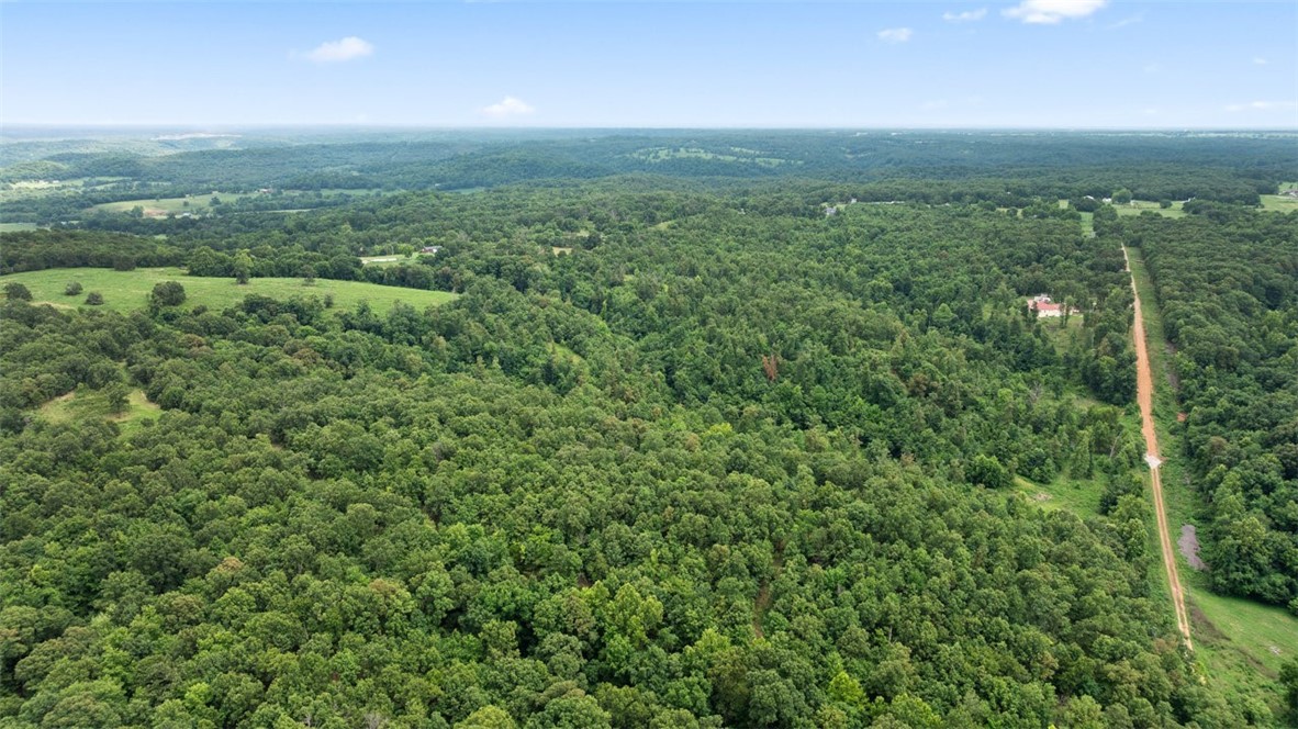 Noel, Missouri, 64854, United States, ,Land,For Sale,1785483