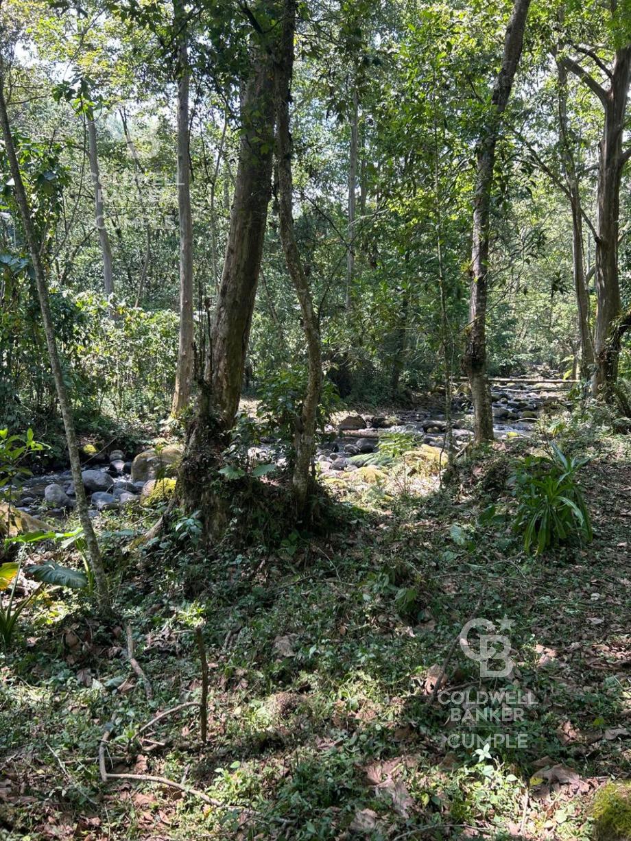 Tlalnelhuayocan, Veracruz de Ignacio de la Llave, 91230, Mexico, 1 Bedroom Bedrooms, ,Residential,For Sale,1829340