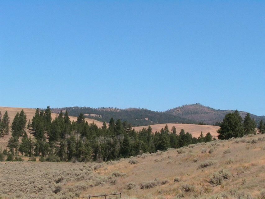 Nhn Granite Creek Road, Florence, Montana, 59833, United States, ,Residential,For Sale,Nhn Granite Creek Road,1205566