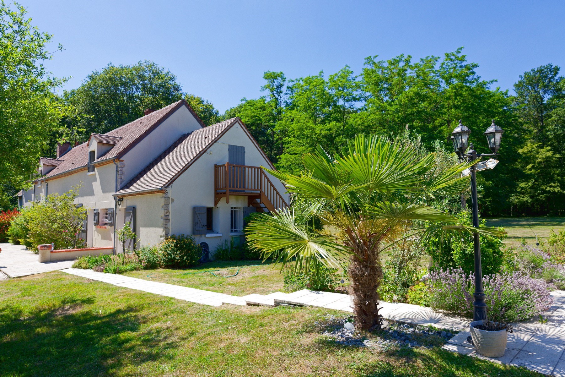  Charming 220 sqm countryhouse  5 bedrooms  pool  8,000 sqm pond  3.5 ha lan… - 物件實景