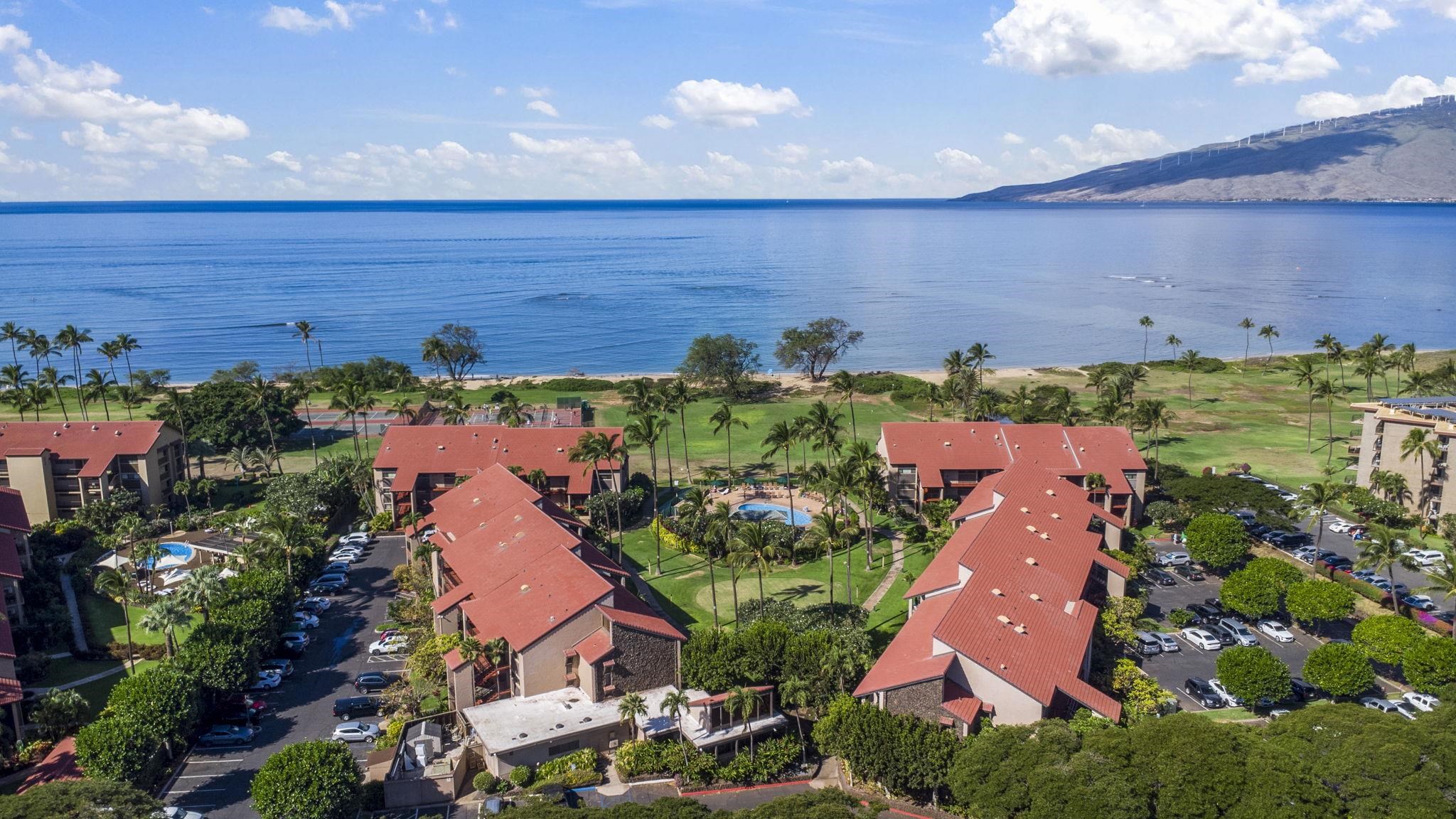 Kihei, Hawaii, 96753, United States, 1 Bedroom Bedrooms, ,1 BathroomBathrooms,Residential,For Sale,1692851