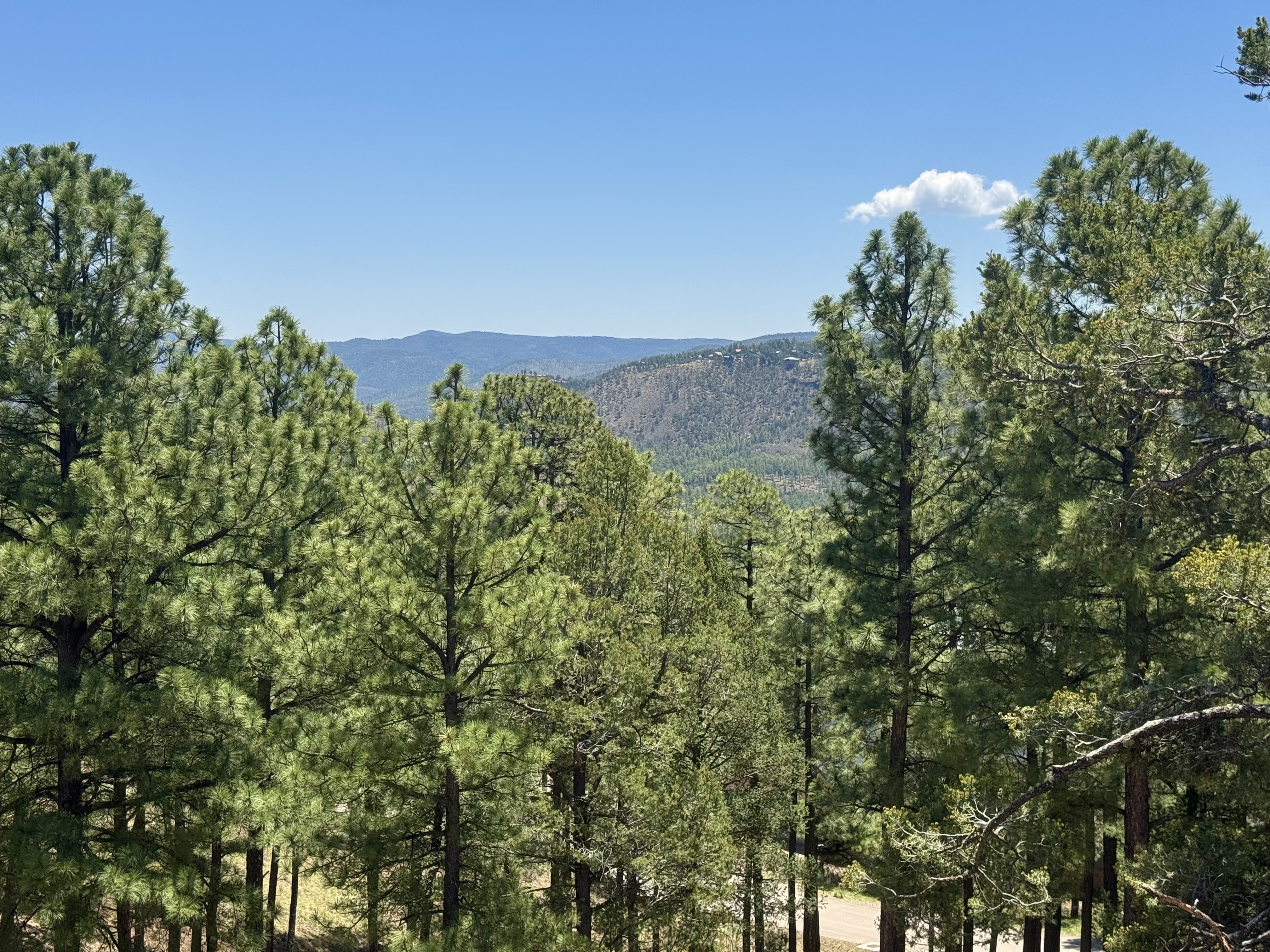 Ruidoso, New Mexico, 88345, United States, 5 Bedrooms Bedrooms, ,5 BathroomsBathrooms,Residential,For Sale,1981179